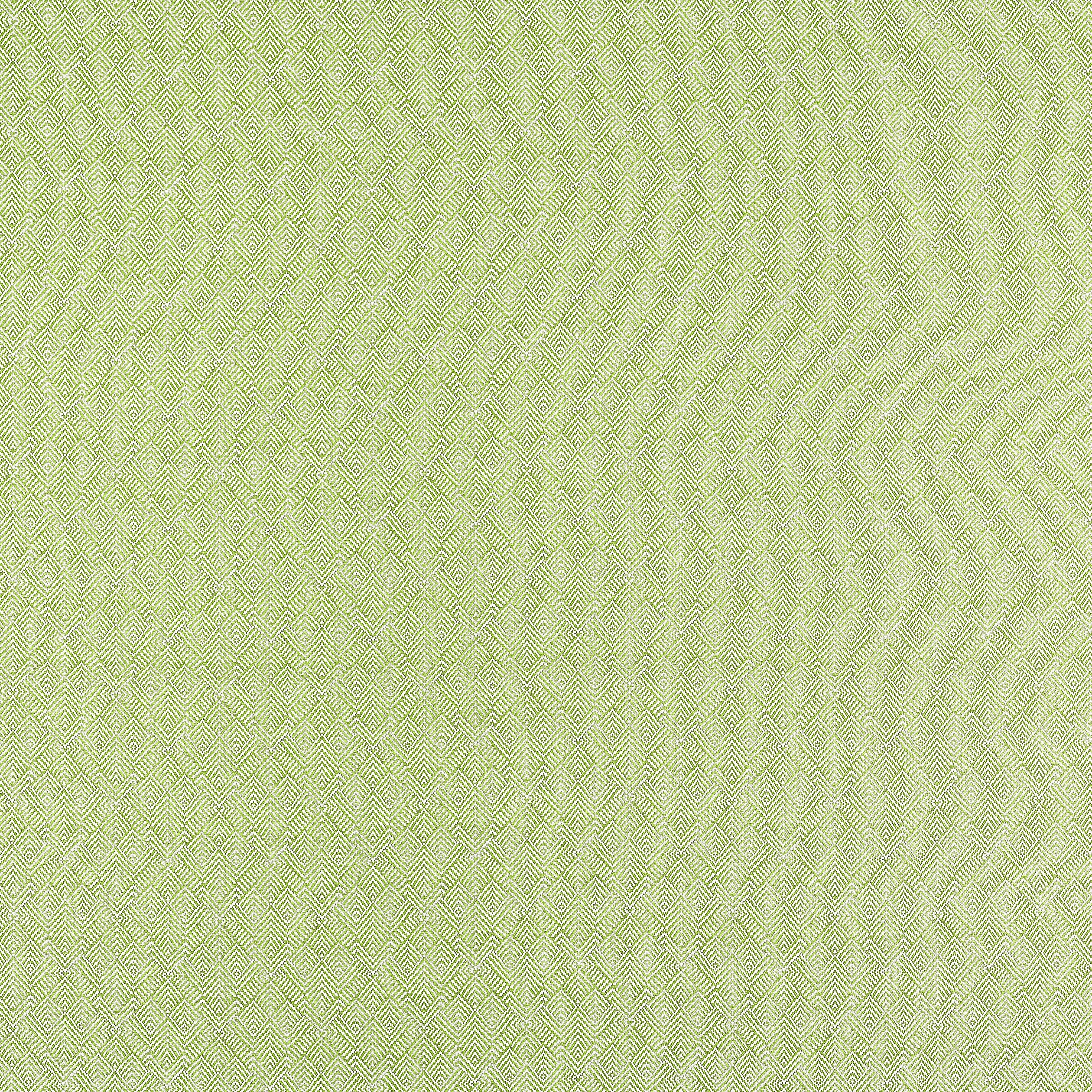 Calista fabric in kiwi color - pattern number W81716 - by Thibaut in the Soleil collection