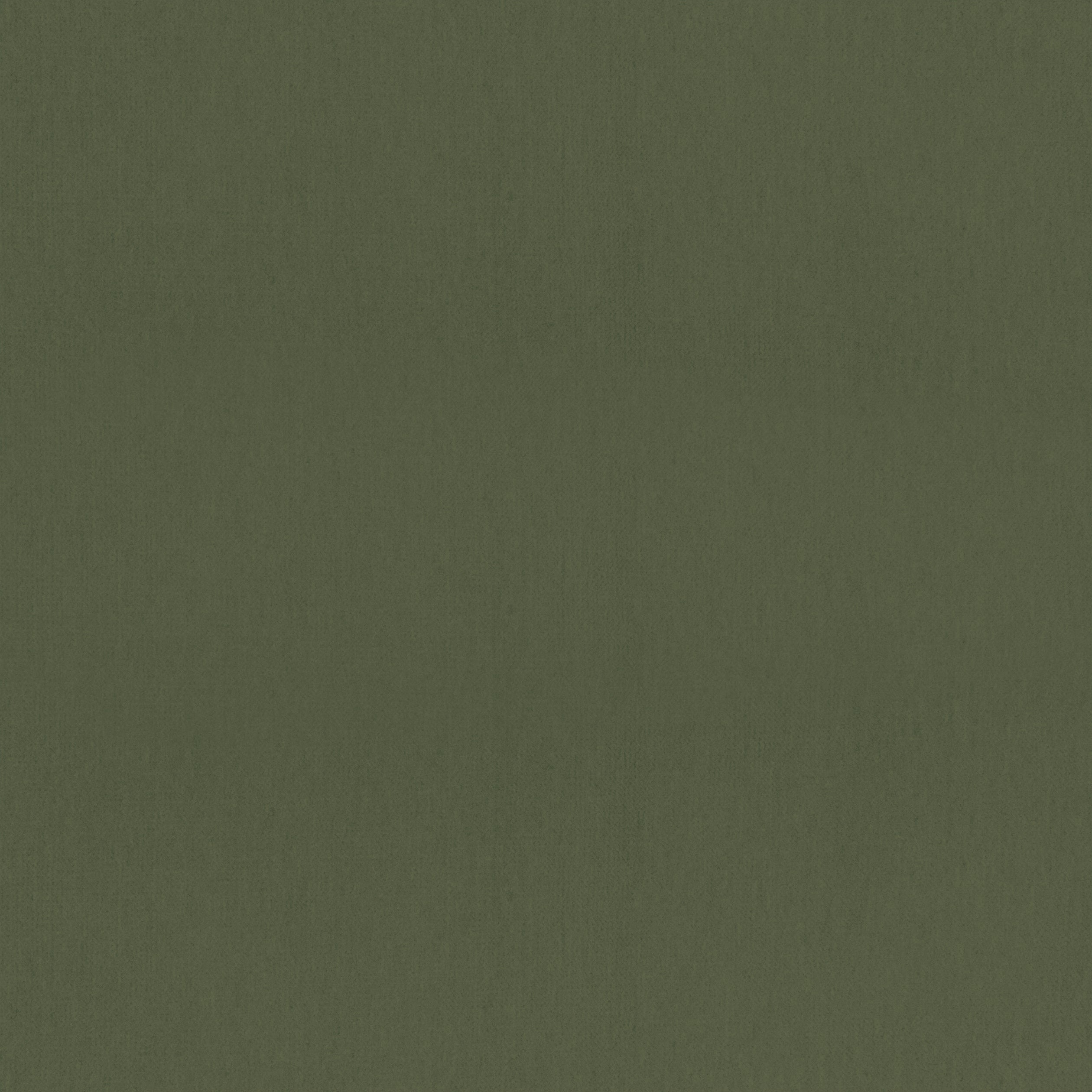 Mirasol Velvet fabric in juniper color - pattern number W81740 - by Thibaut in the Soleil Textures collection