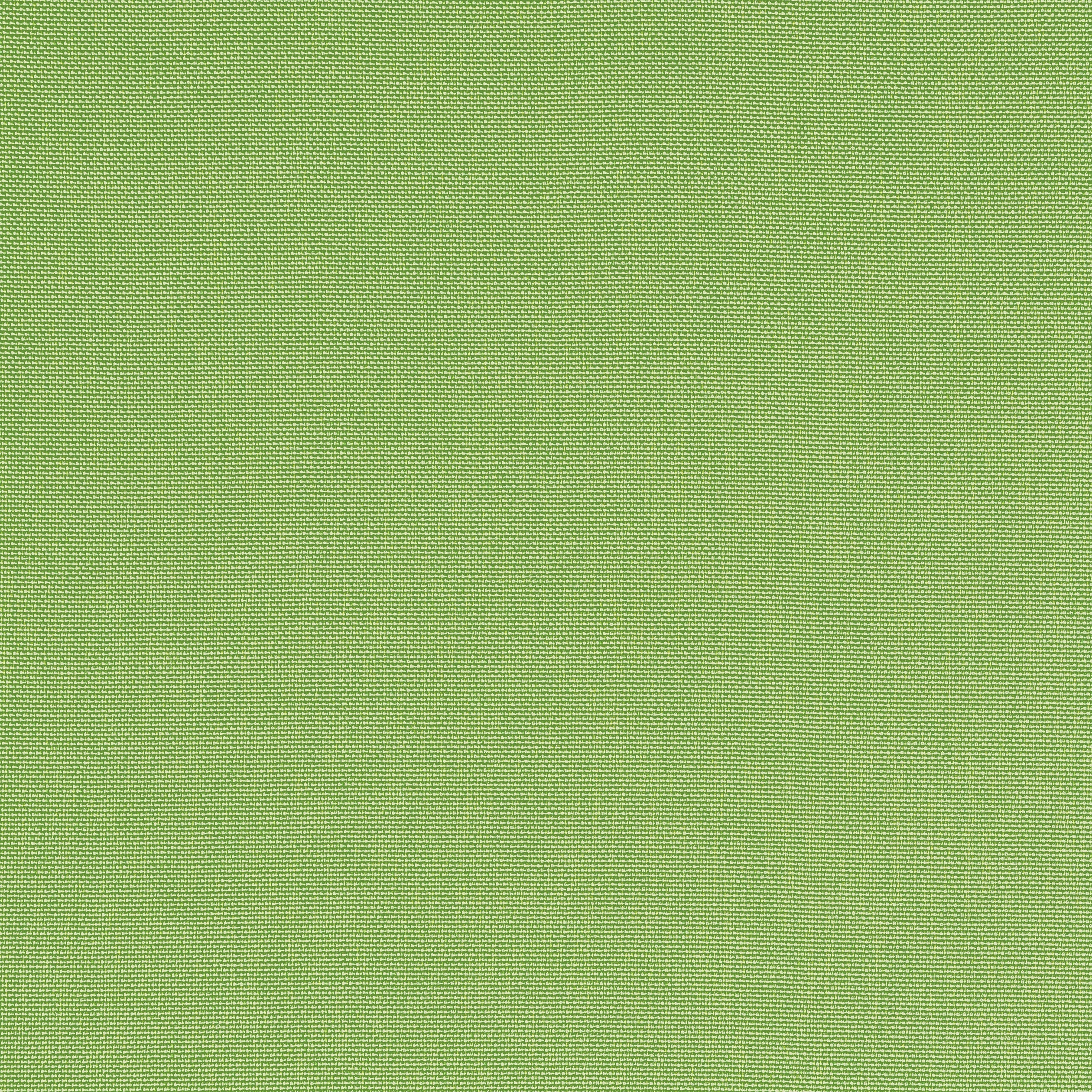 Palmer fabric in kiwi color - pattern number W81752 - by Thibaut in the Soleil Textures collection