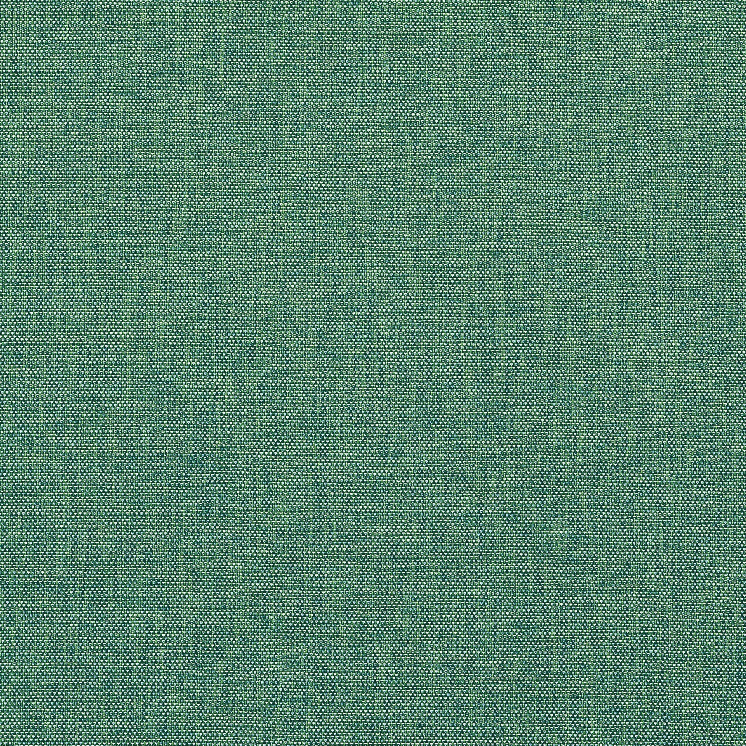Palmer fabric in pine color - pattern number W81754 - by Thibaut in the Soleil Textures collection