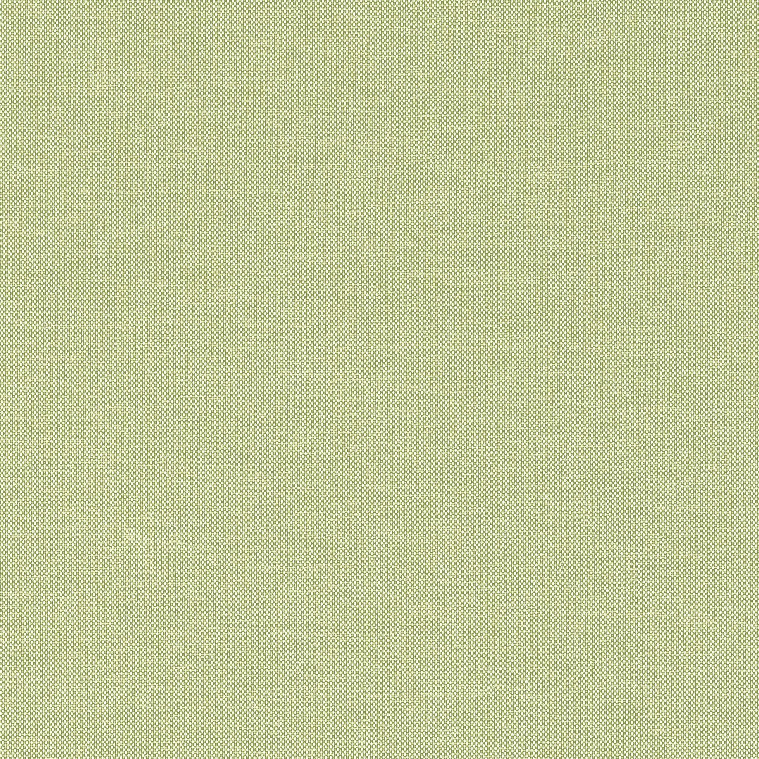 Finn fabric in kiwi color - pattern number W81759 - by Thibaut in the Soleil Textures collection