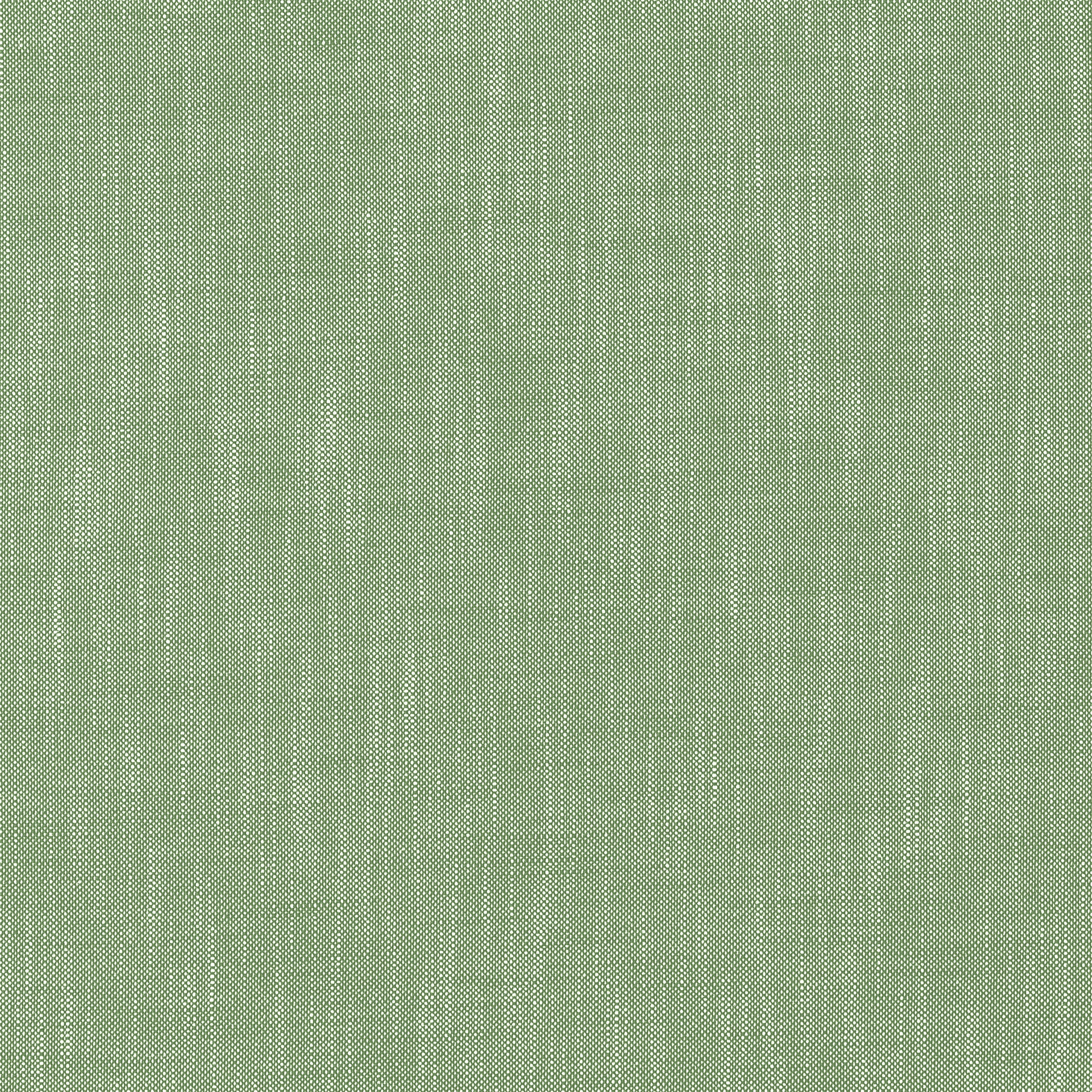 Bristol fabric in clover color - pattern number W81770 - by Thibaut in the Soleil Textures collection
