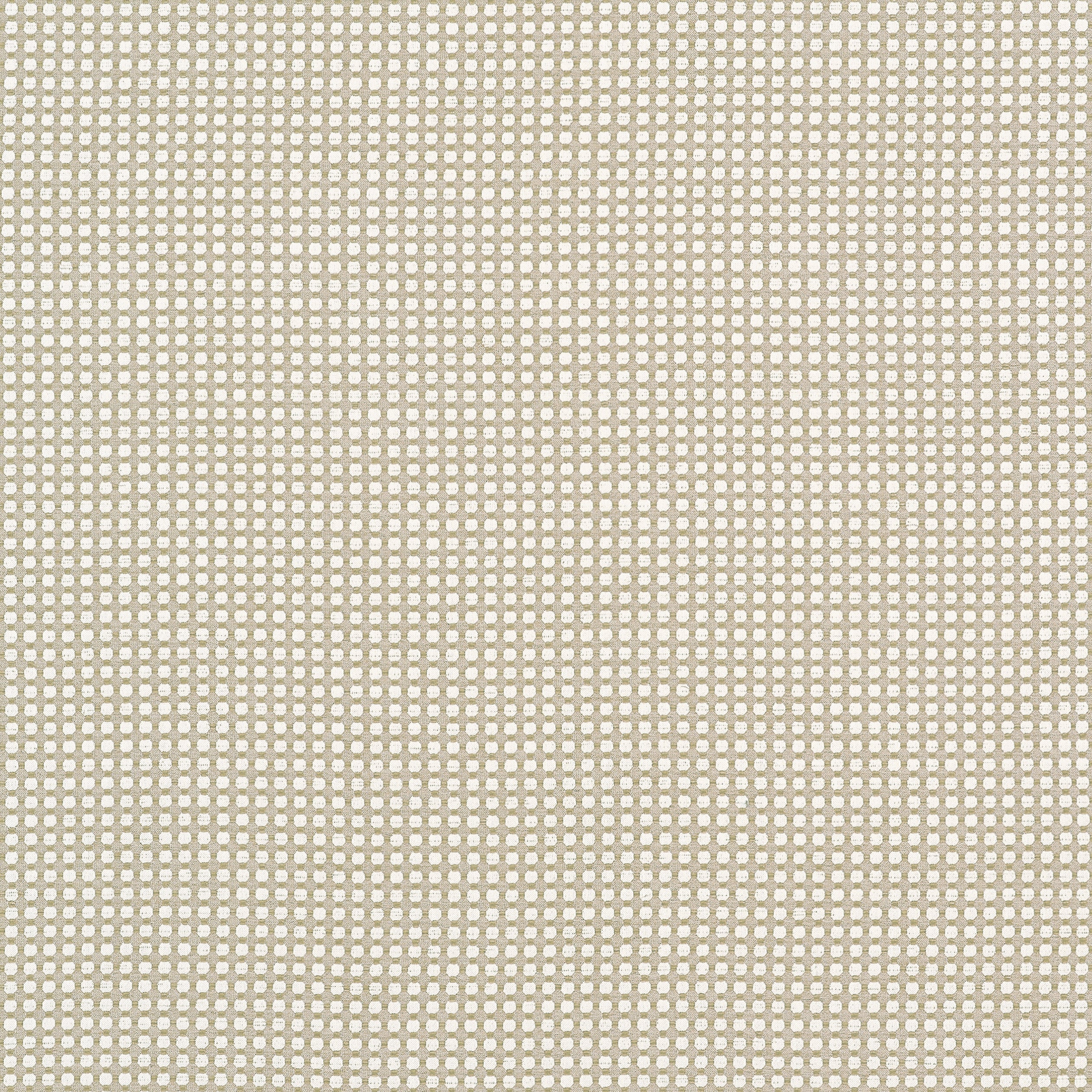 Darcy fabric in flax color - pattern number W81915 - by Thibaut in the Companions collection