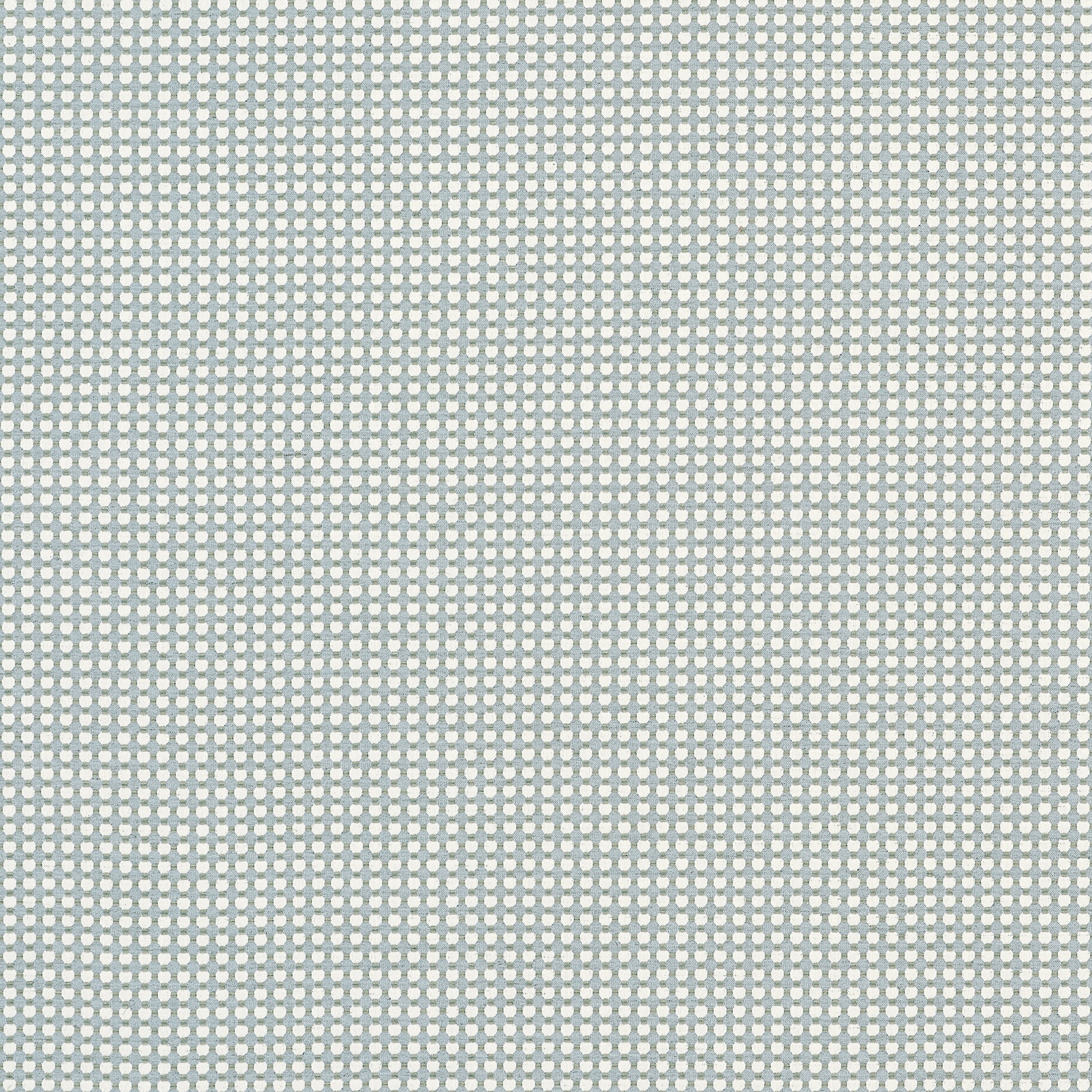 Darcy fabric in powder color - pattern number W81917 - by Thibaut in the Companions collection