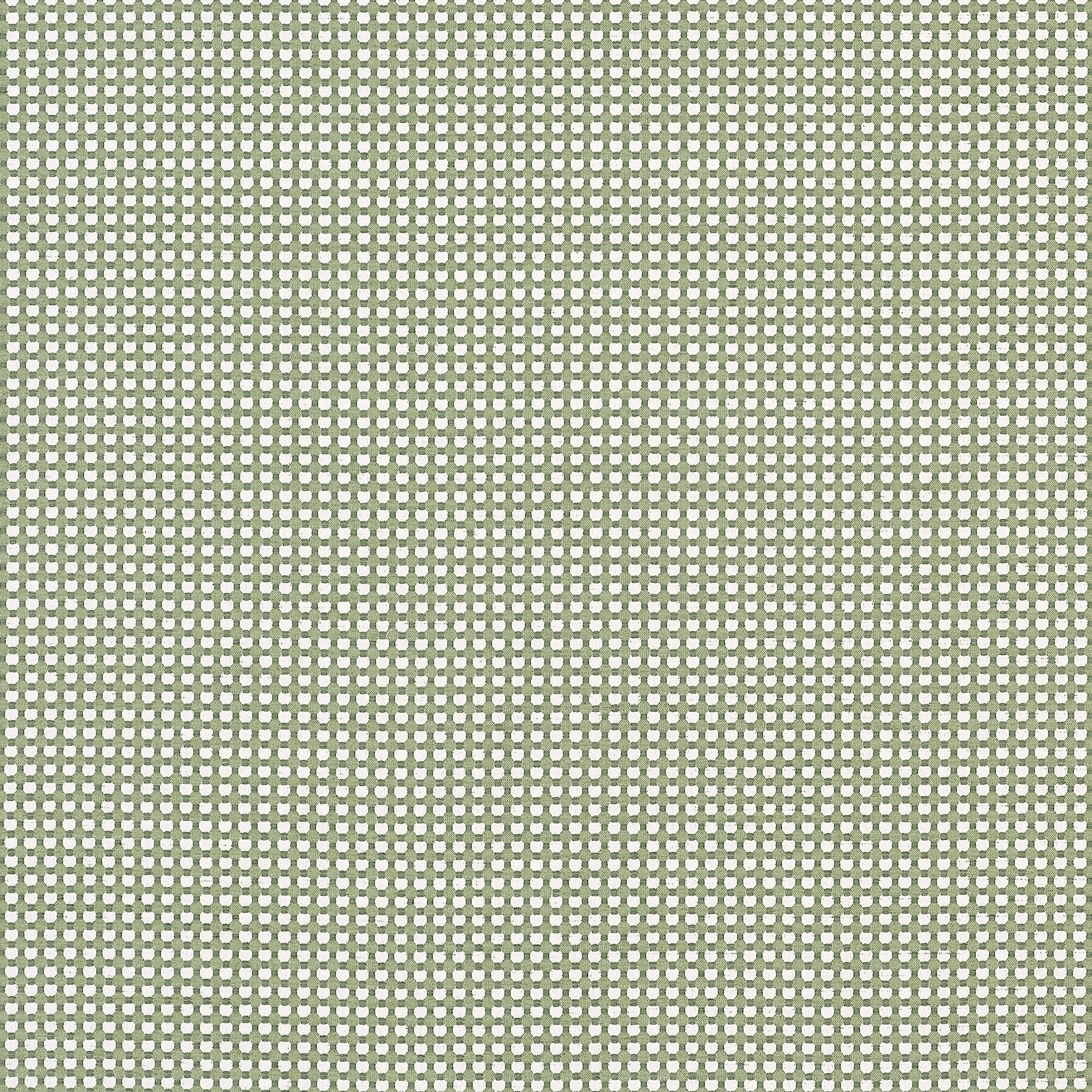 Darcy fabric in leaf color - pattern number W81918 - by Thibaut in the Companions collection