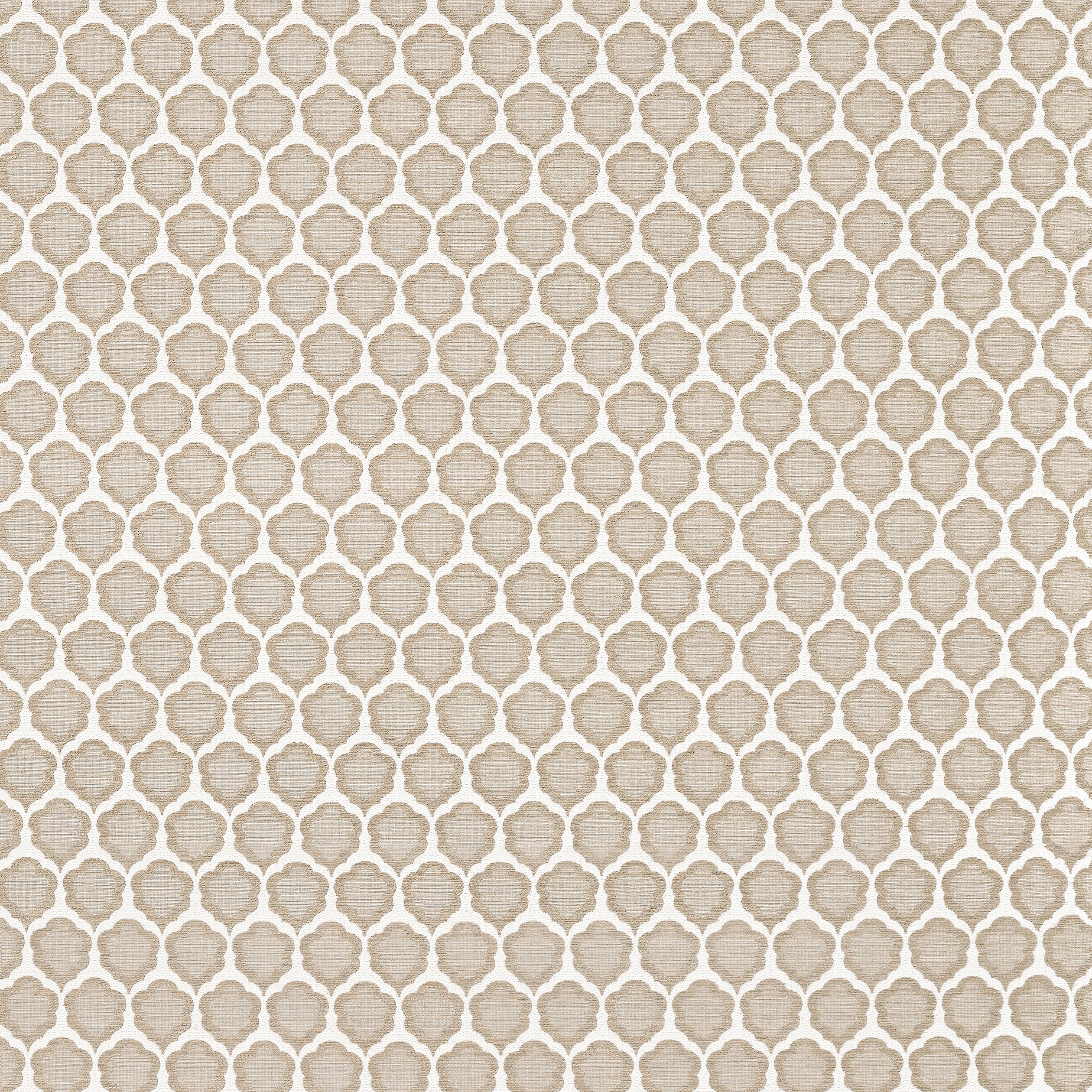 Genie fabric in sand color - pattern number W81928 - by Thibaut in the Companions collection