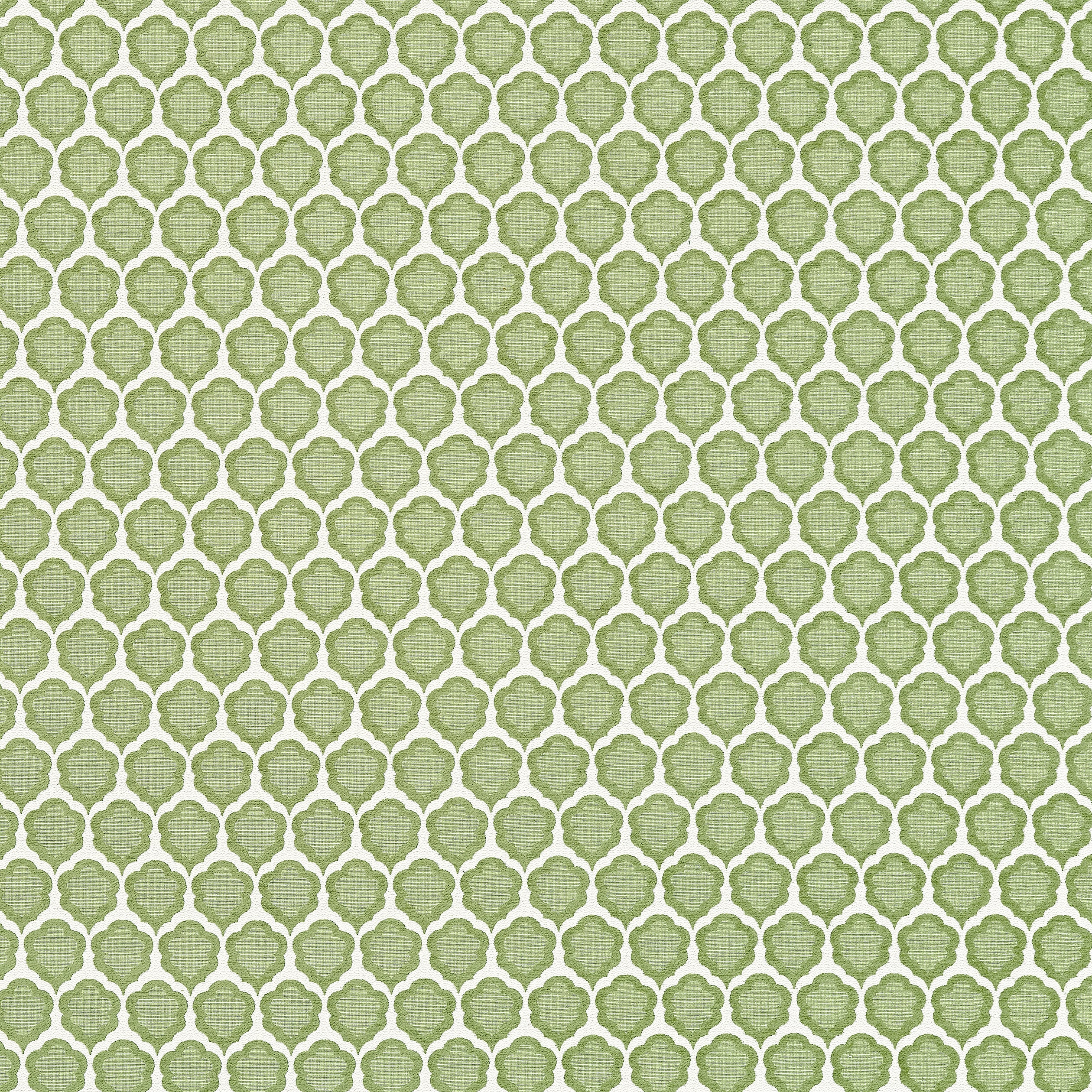 Genie fabric in leaf color - pattern number W81930 - by Thibaut in the Companions collection
