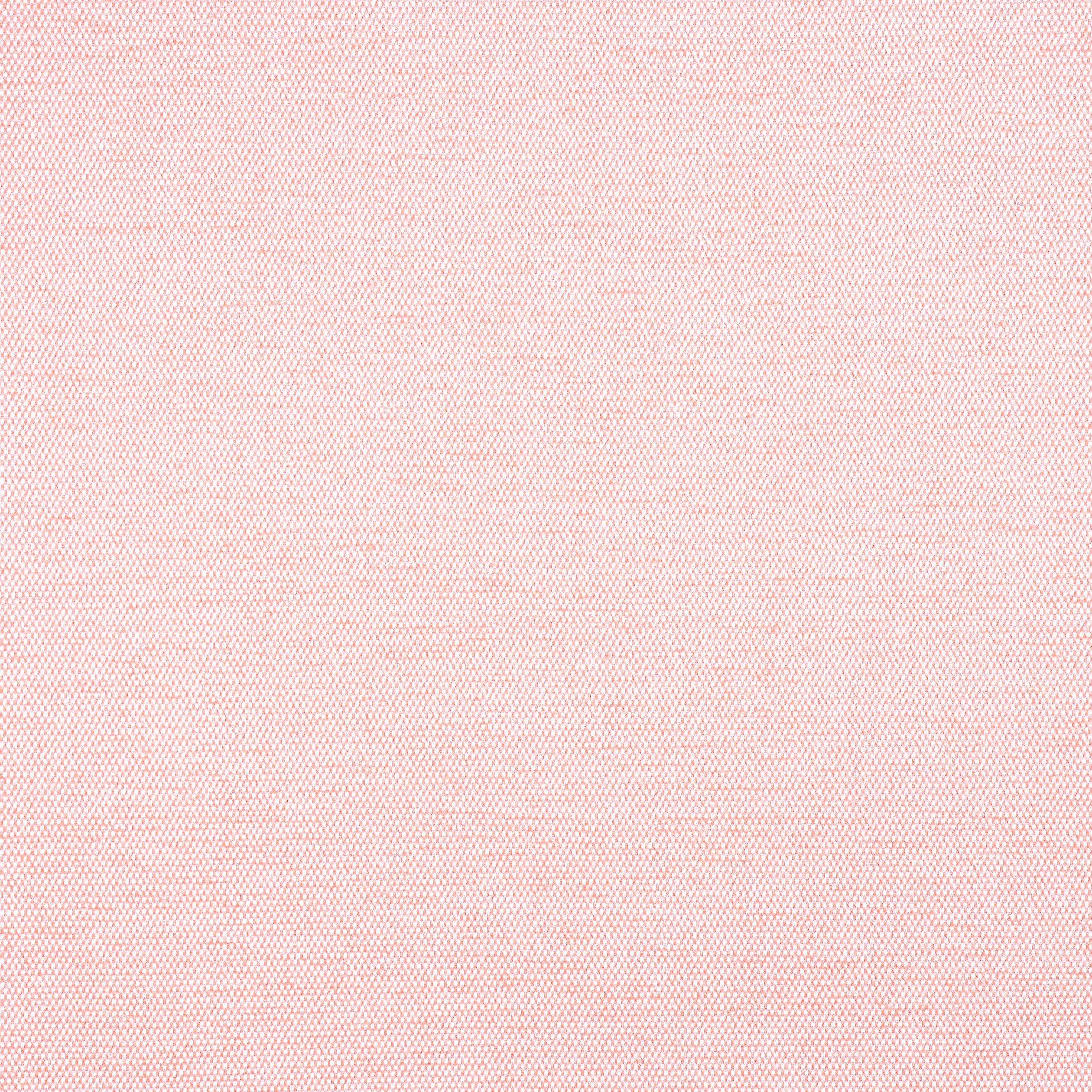 Clara fabric in seashell color - pattern number W8594 - by Thibaut in the Villa Textures collection
