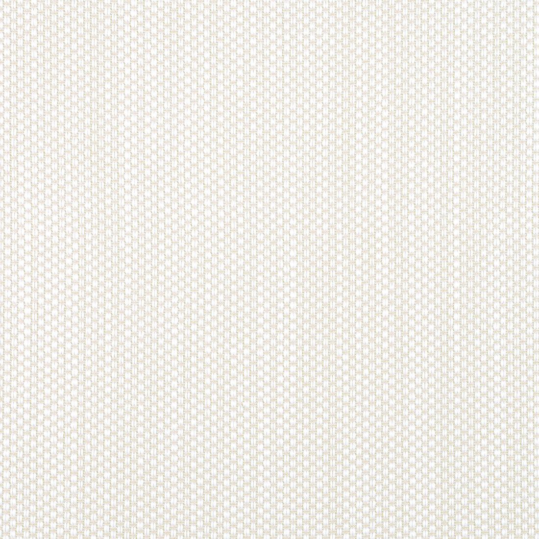 Ravenna fabric in sand color - pattern number W8614 - by Thibaut in the Villa Textures collection