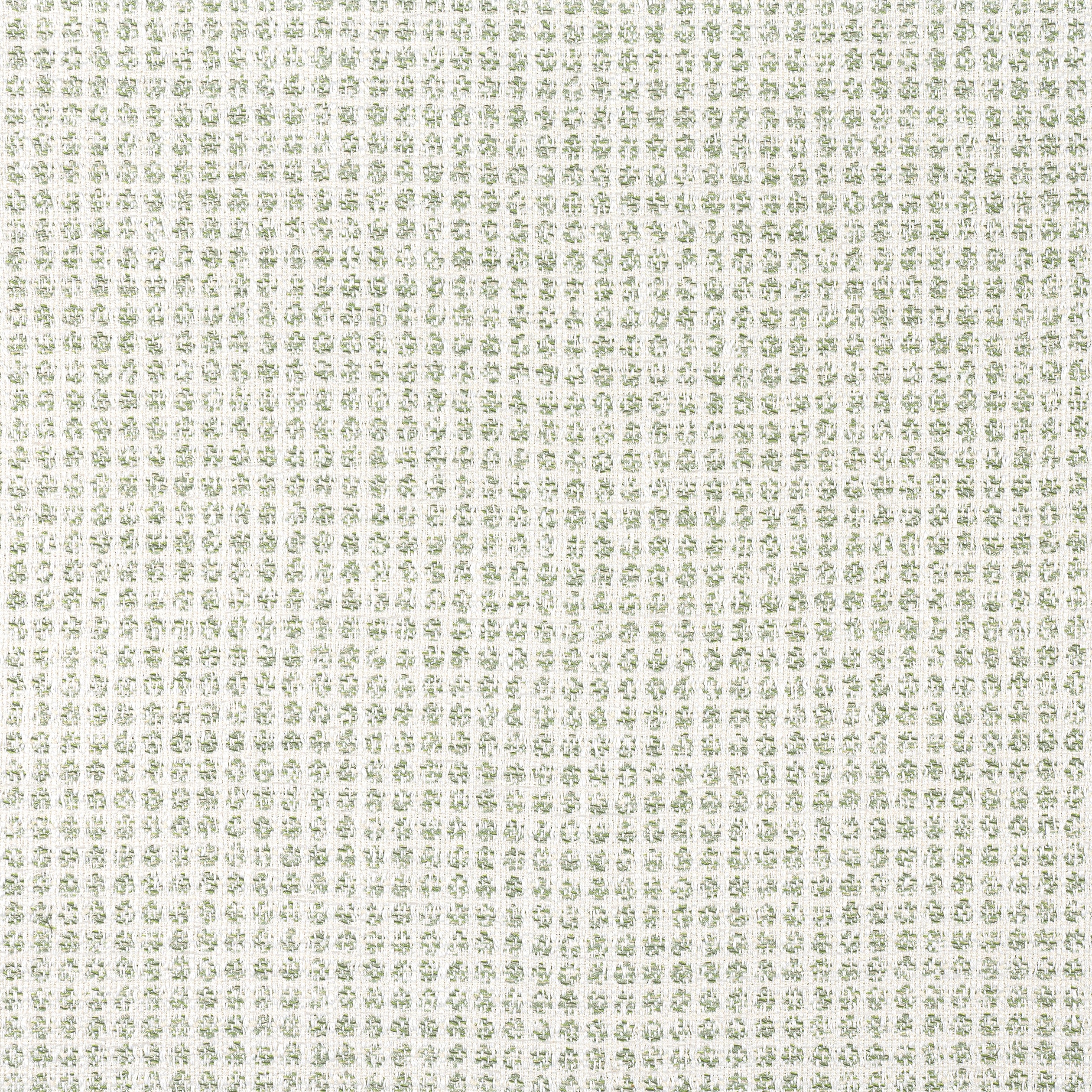Remy Dot fabric in aloe color - pattern number W8703 - by Thibaut in the Haven collection