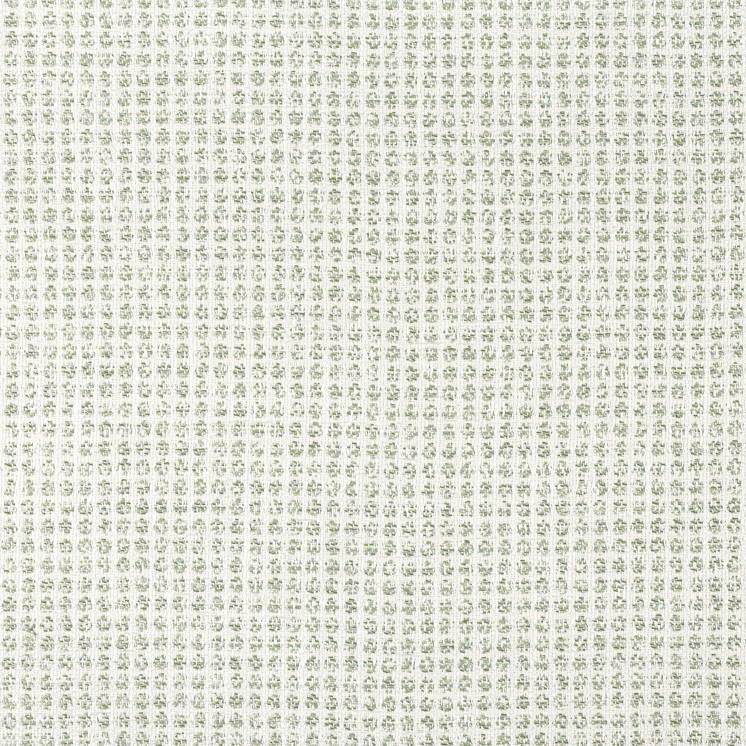 Remy Dot fabric in aloe color - pattern number W8703 - by Thibaut in the Haven collection