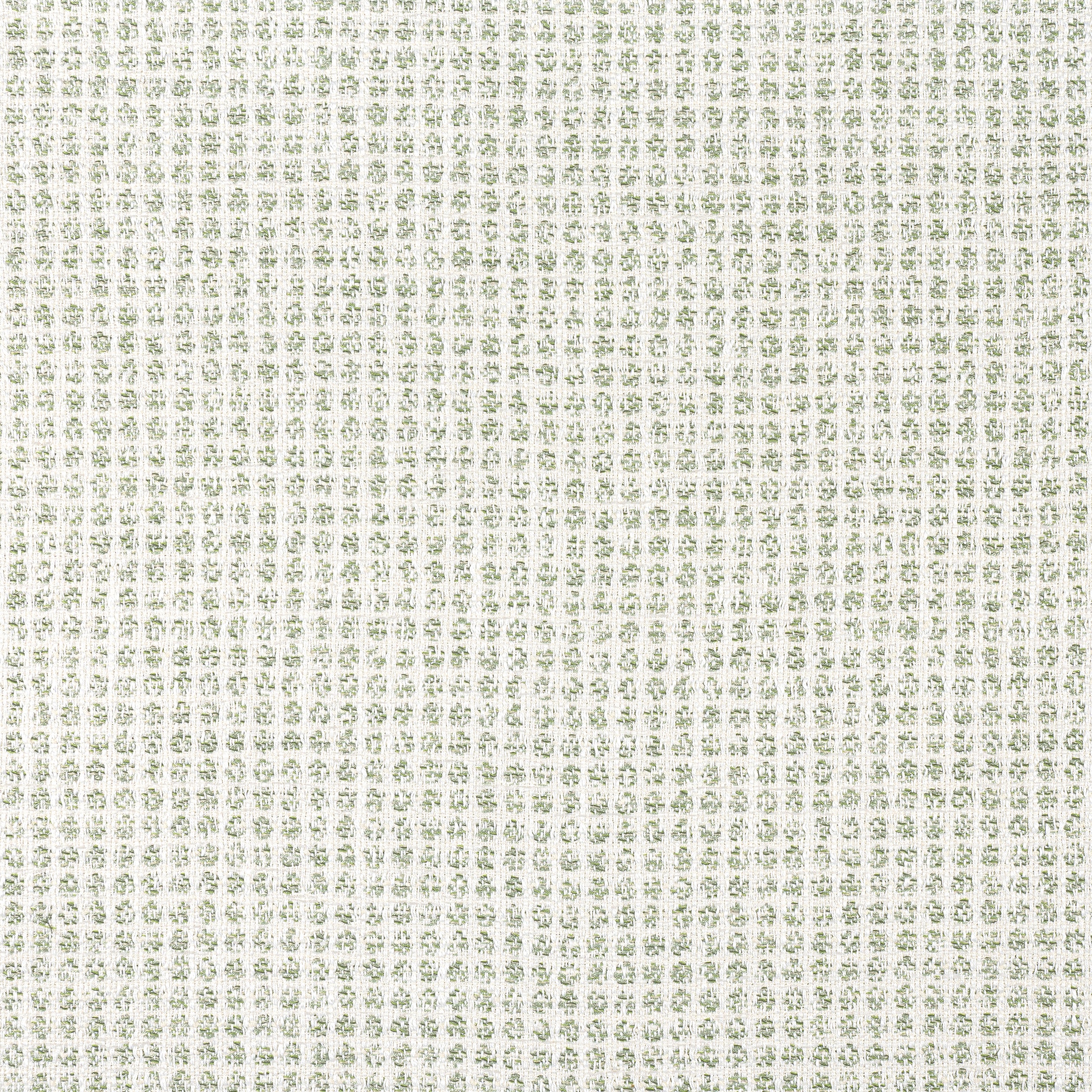Remy Dot fabric in aloe color - pattern number W8703 - by Thibaut in the Haven collection