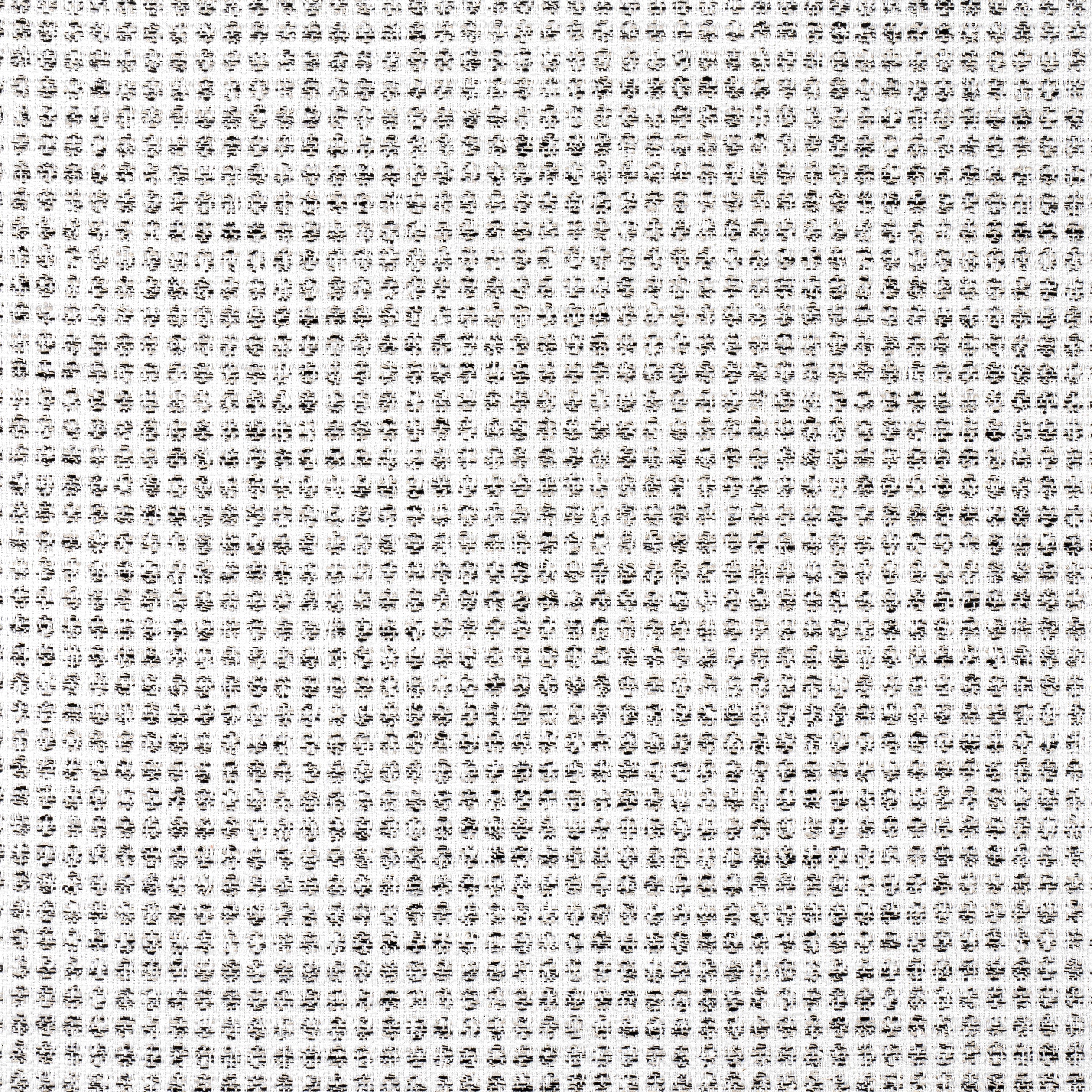 Remy Dot fabric in onyx color - pattern number W8706 - by Thibaut in the Haven collection