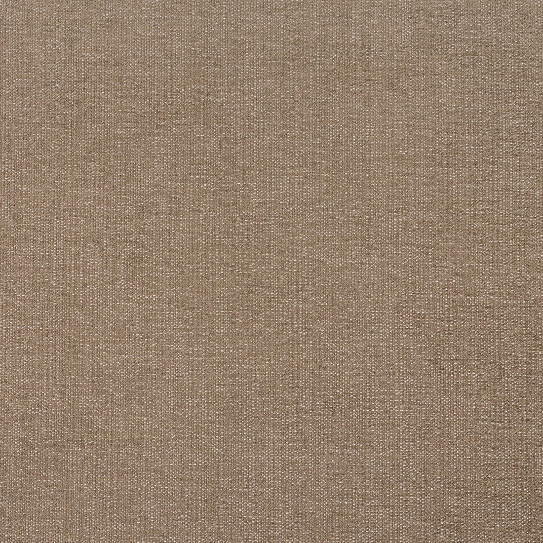Veda fabric in cafe color - pattern number W8712 - by Thibaut in the Haven Textures collection
