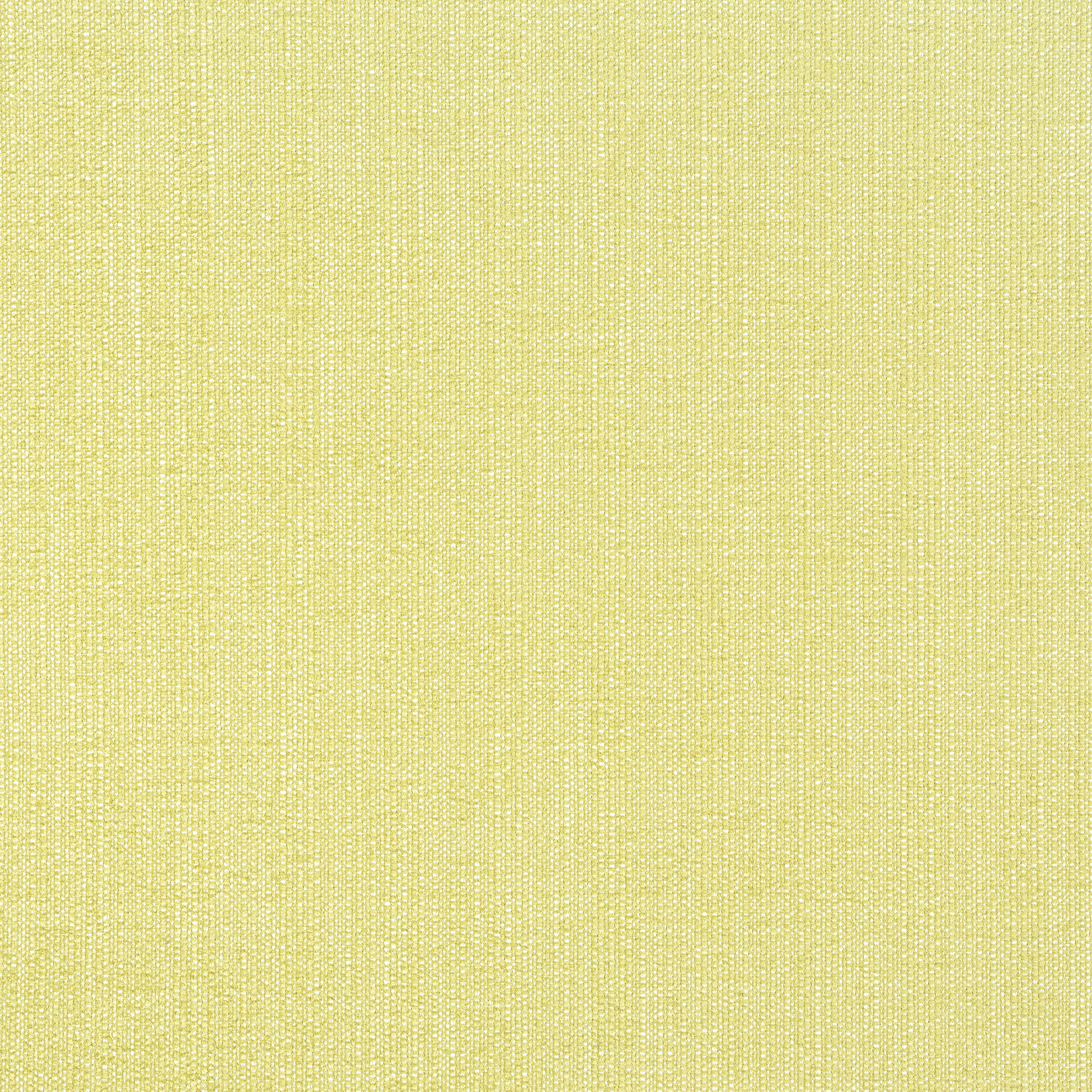 Veda fabric in lemongrass color - pattern number W8716 - by Thibaut in the Haven Textures collection