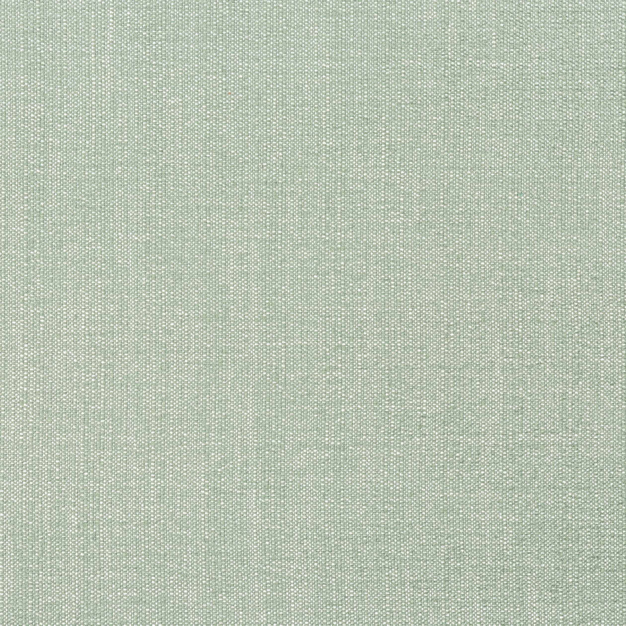 Veda fabric in aloe color - pattern number W8717 - by Thibaut in the Haven Textures collection