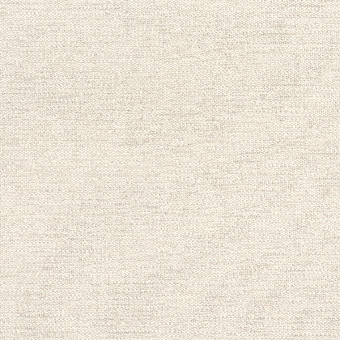 Petra fabric in almond color - pattern number W8737 - by Thibaut in the Haven Textures collection