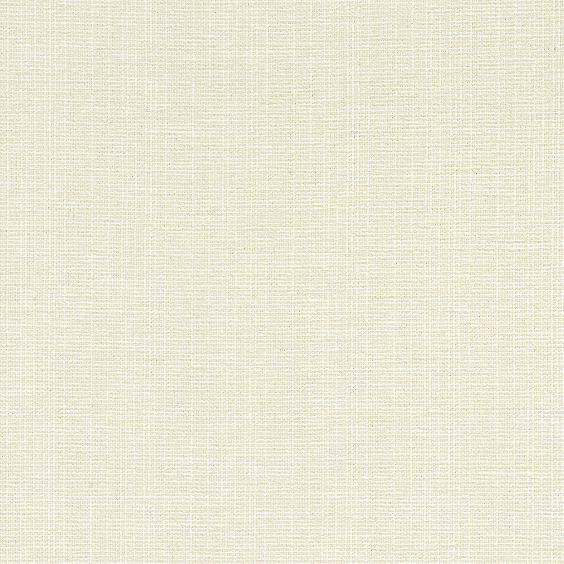 Sacchi fabric in parchment color - pattern number W8753 - by Thibaut in the Haven Textures collection