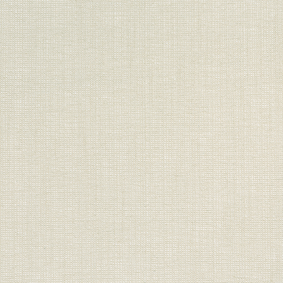 Sacchi fabric in flax color - pattern number W8754 - by Thibaut in the Haven Textures collection