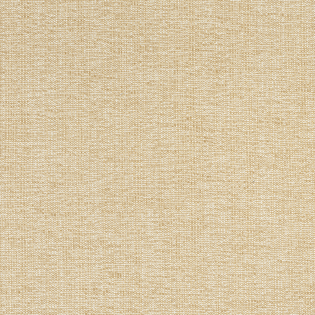 Sacchi fabric in caramel color - pattern number W8756 - by Thibaut in the Haven Textures collection