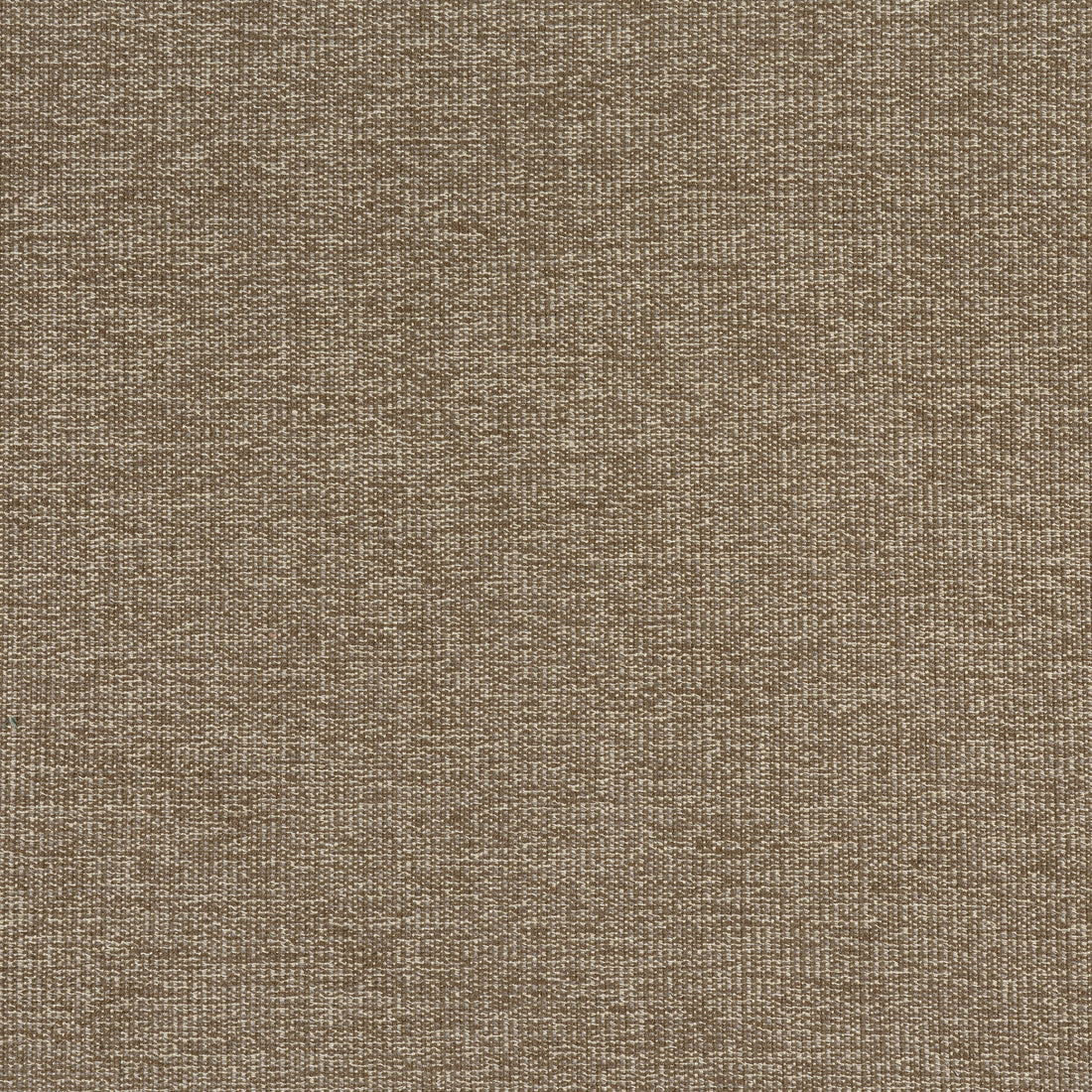 Sacchi fabric in mocha color - pattern number W8757 - by Thibaut in the Haven Textures collection