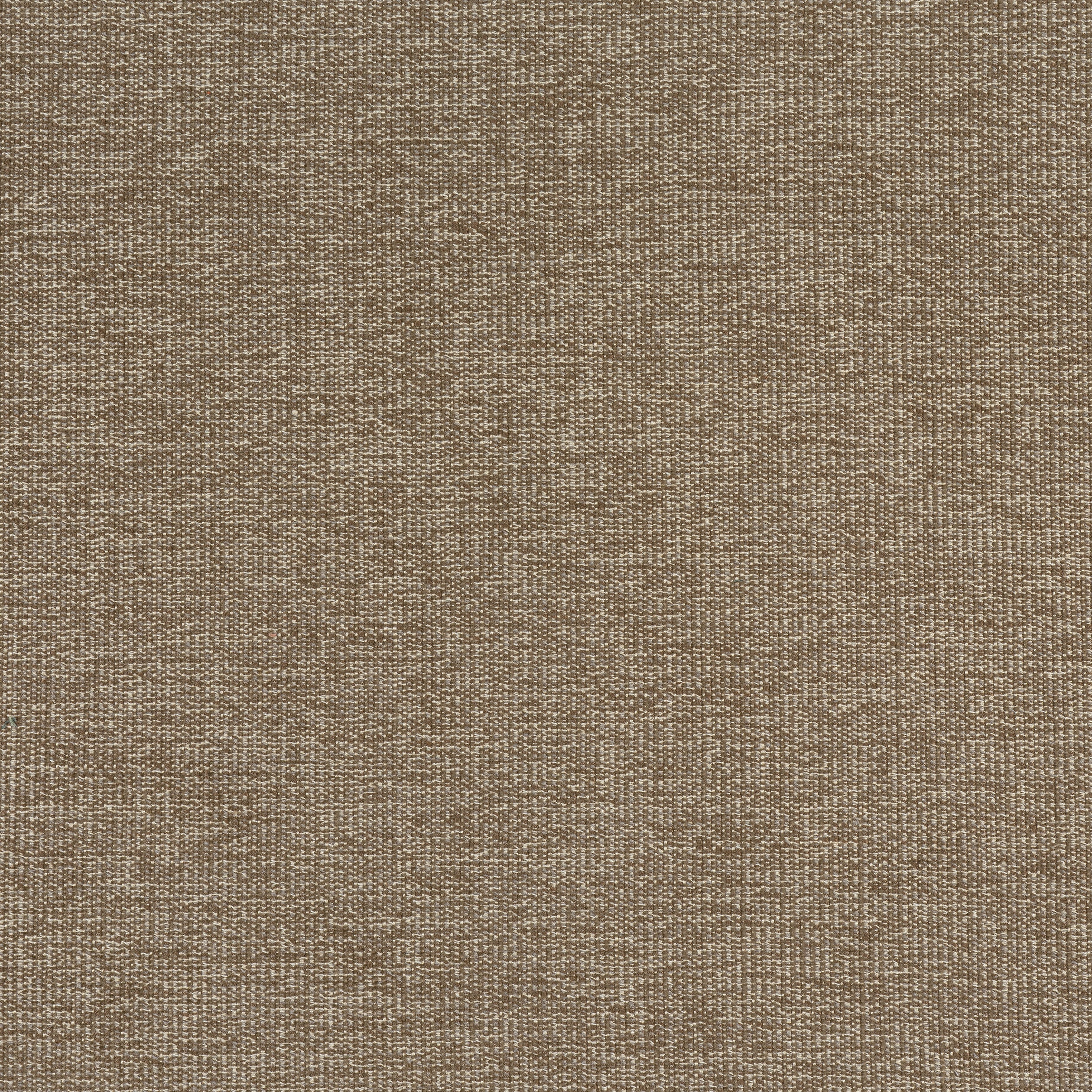 Sacchi fabric in mocha color - pattern number W8757 - by Thibaut in the Haven Textures collection