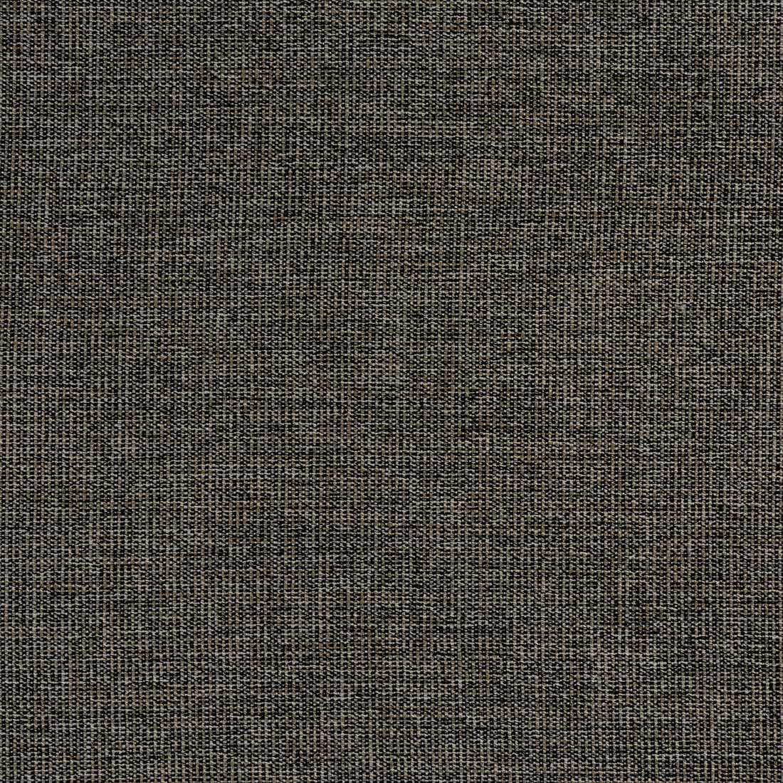 Sacchi fabric in ebony color - pattern number W8758 - by Thibaut in the Haven Textures collection