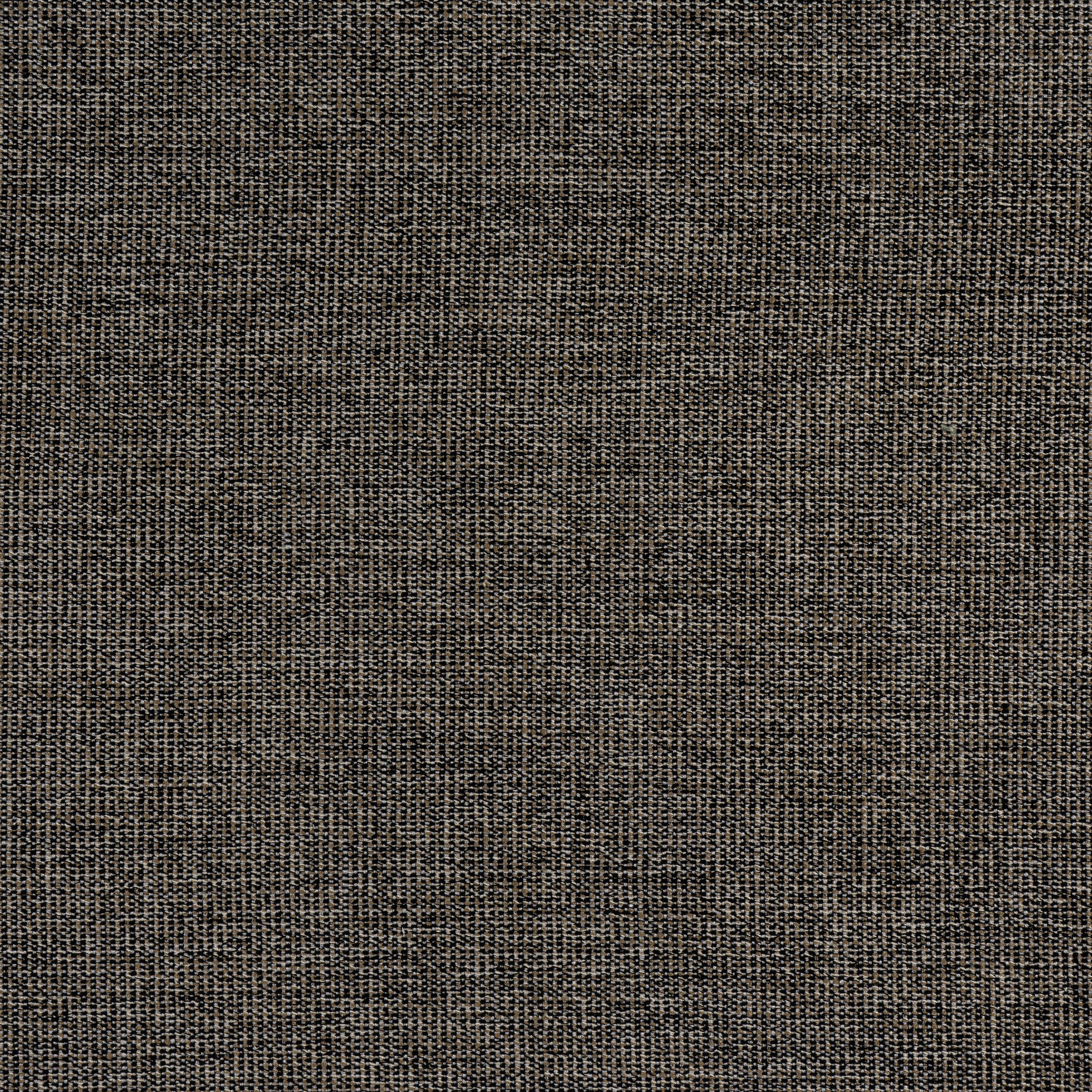 Sacchi fabric in ebony color - pattern number W8758 - by Thibaut in the Haven Textures collection