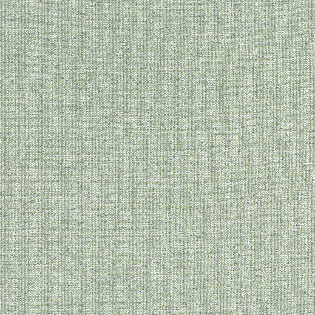Sacchi fabric in aloe color - pattern number W8759 - by Thibaut in the Haven Textures collection