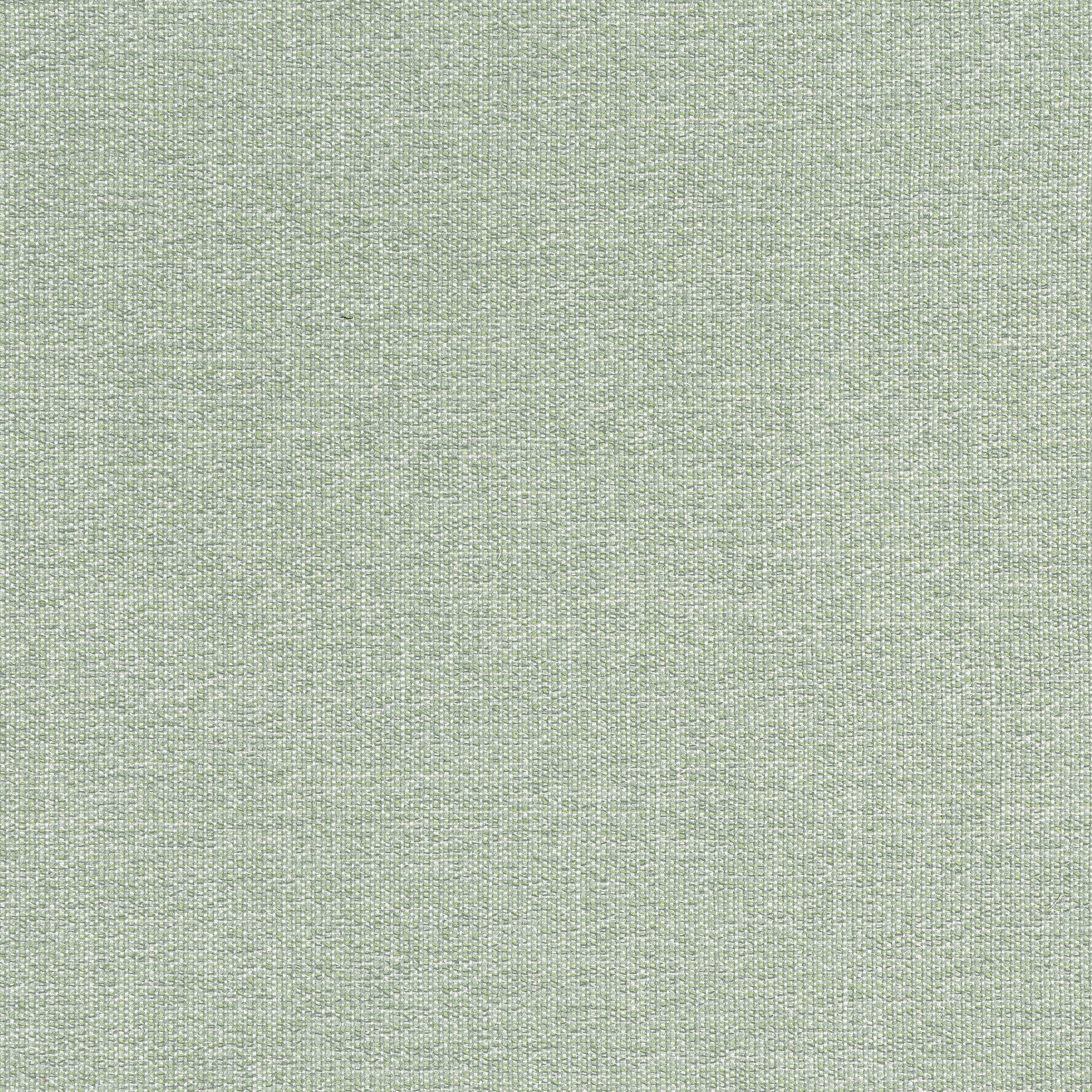 Sacchi fabric in aloe color - pattern number W8759 - by Thibaut in the Haven Textures collection