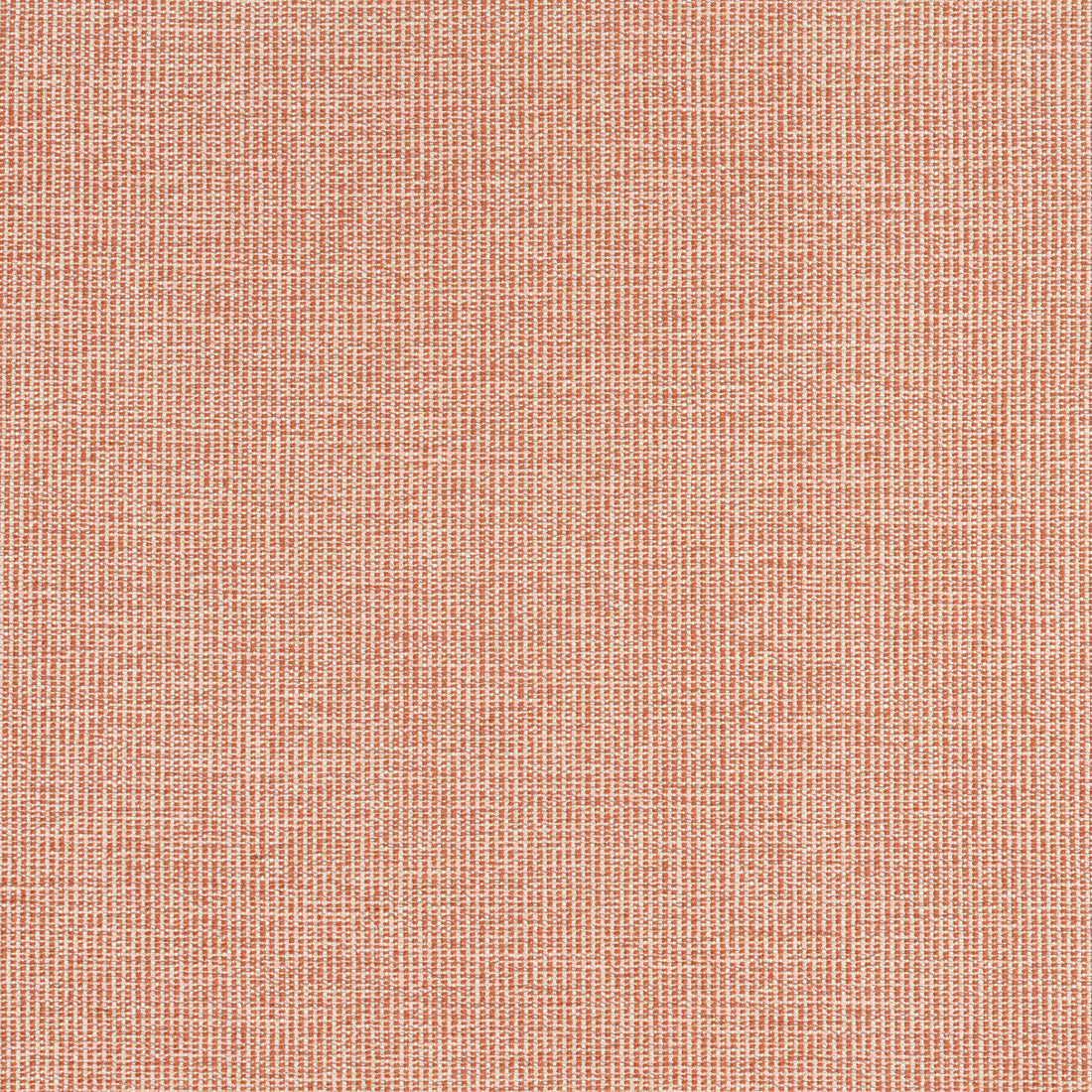 Sacchi fabric in terracotta color - pattern number W8761 - by Thibaut in the Haven Textures collection