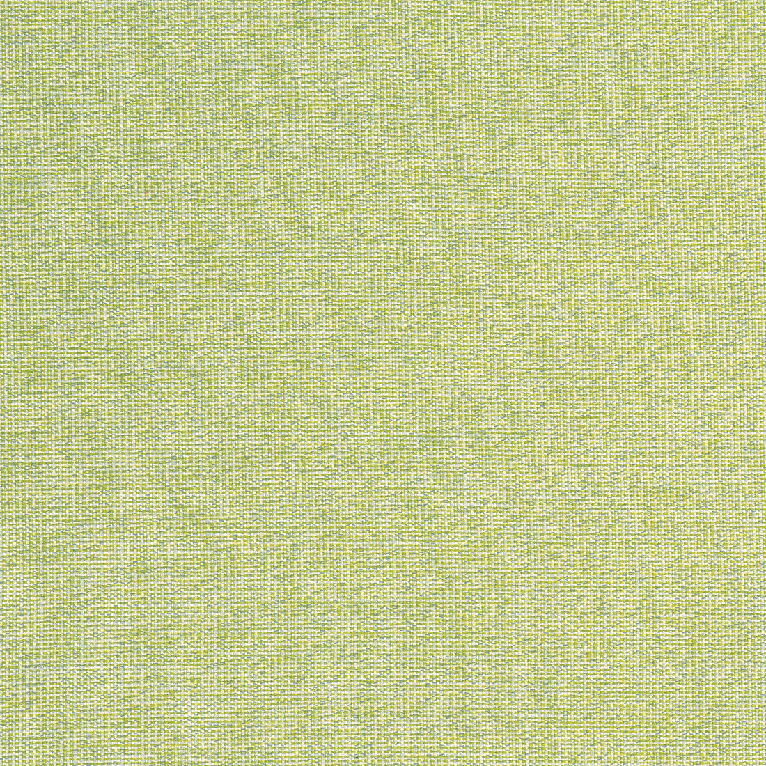 Sacchi fabric in leaf color - pattern number W8763 - by Thibaut in the Haven Textures collection