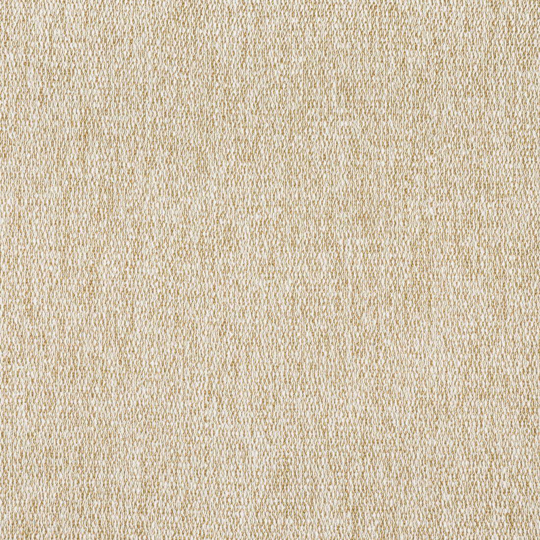 Arroyo fabric in caramel color - pattern number W8781 - by Thibaut in the Haven Textures collection