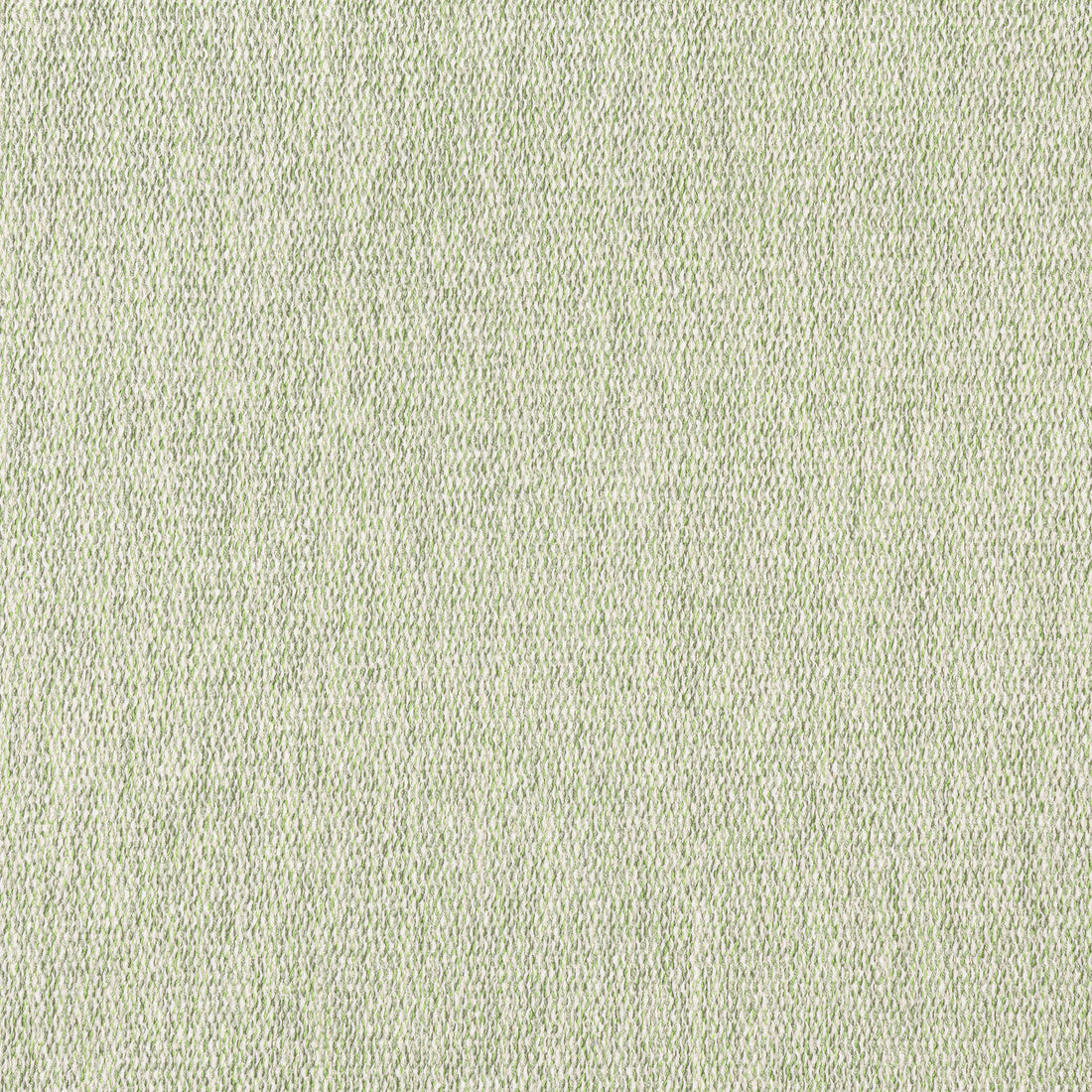 Arroyo fabric in aloe color - pattern number W8784 - by Thibaut in the Haven Textures collection