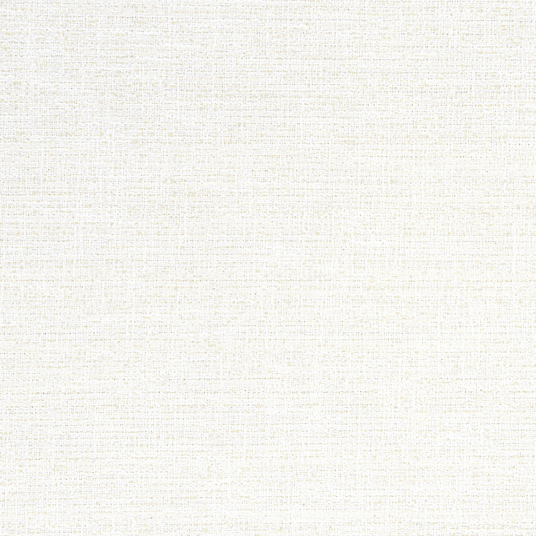 Adria fabric in salt color - pattern number W8791 - by Thibaut in the Haven Textures collection