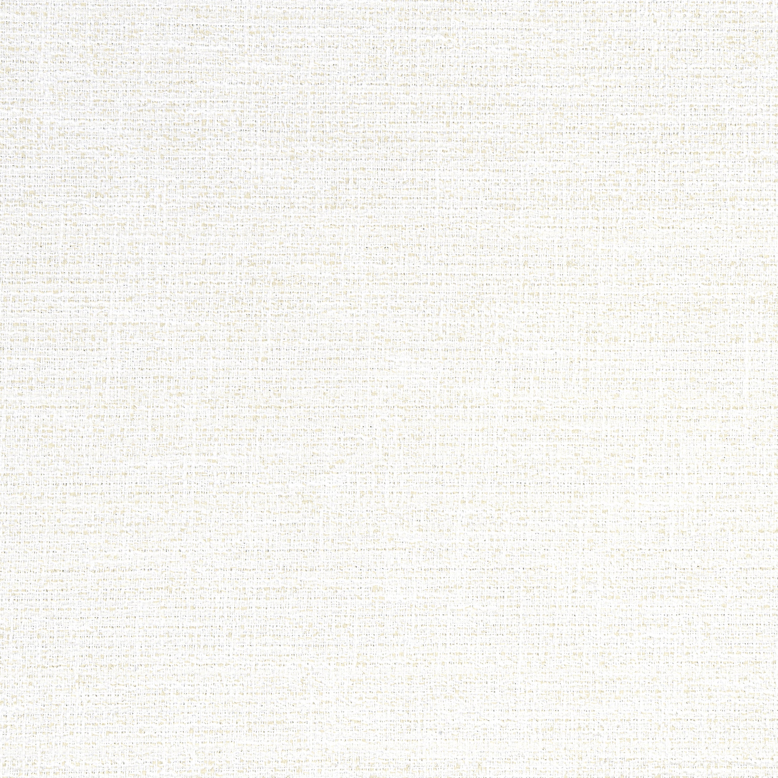 Adria fabric in salt color - pattern number W8791 - by Thibaut in the Haven Textures collection
