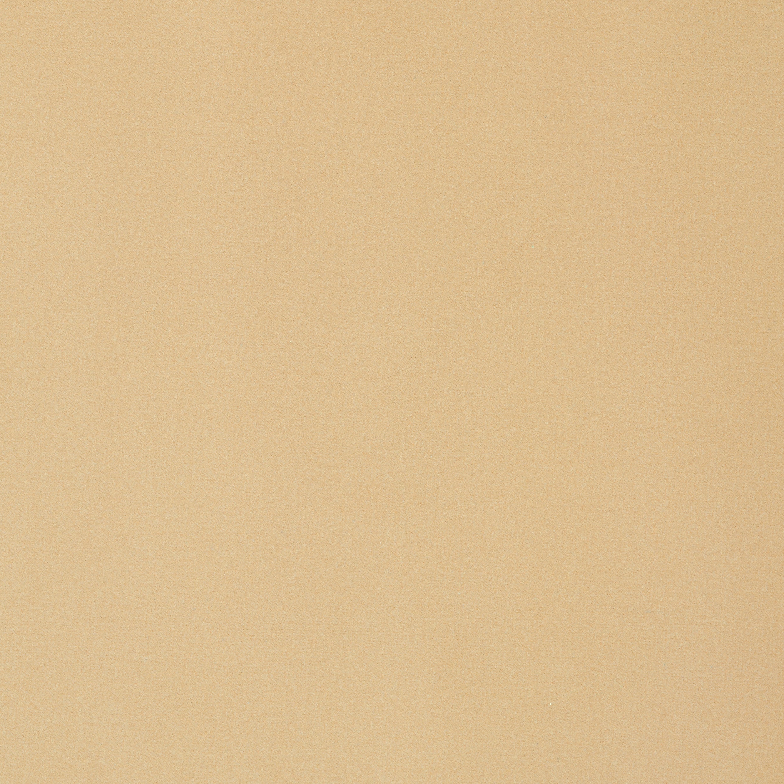 Lyra Velvet fabric in camel color - pattern number W8905 - by Thibaut in the Lyra Velvets collection