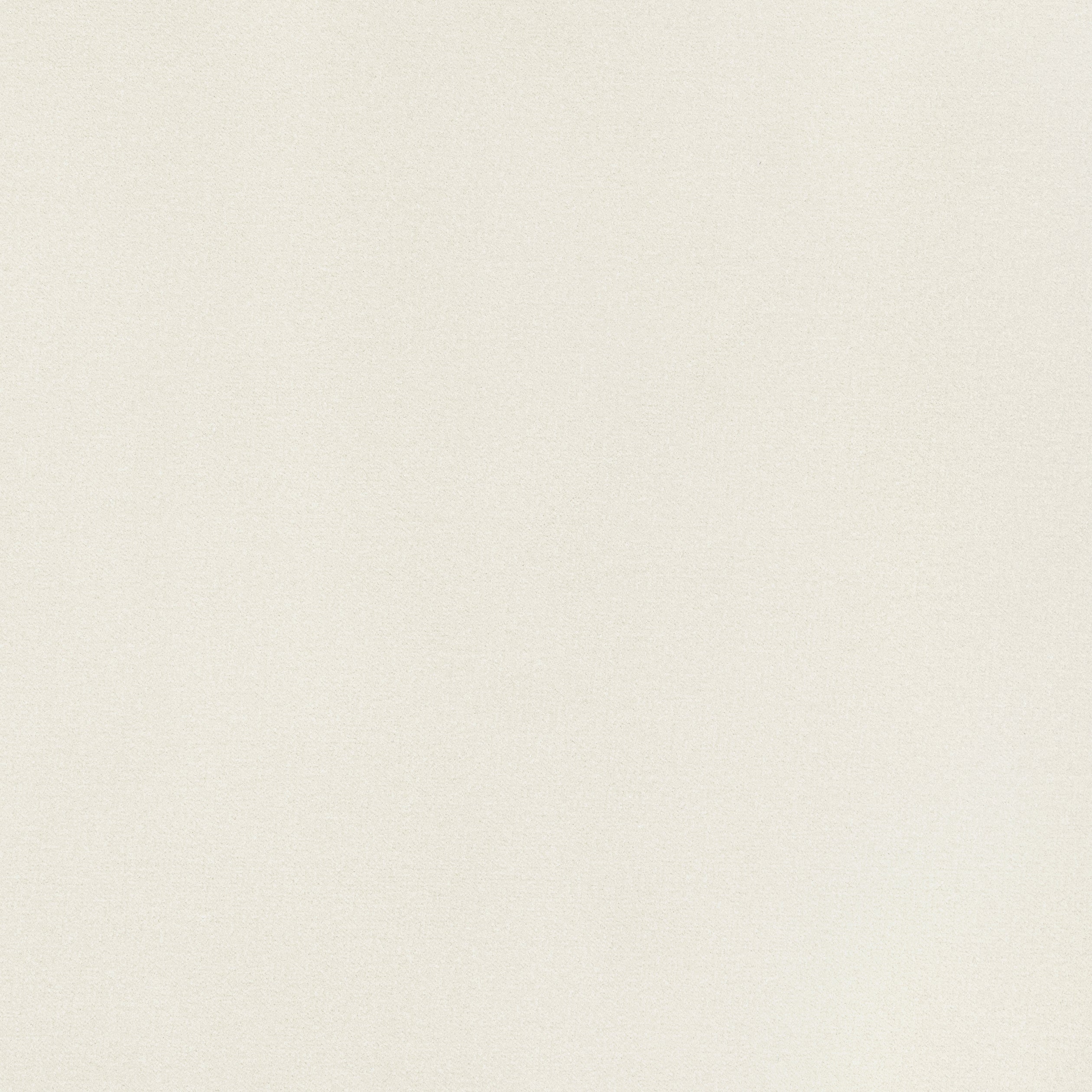 Lyra Velvet fabric in dove color - pattern number W8909 - by Thibaut in the Lyra Velvets collection