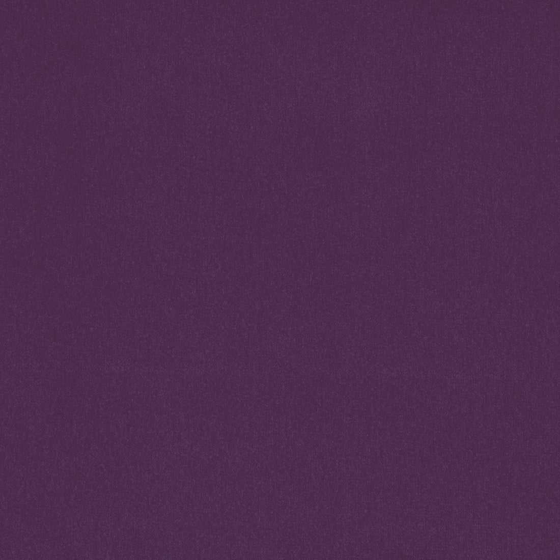 Alto Velvet fabric in amethyst color - pattern number W8931 - by Thibaut in the Lyra Velvets collection