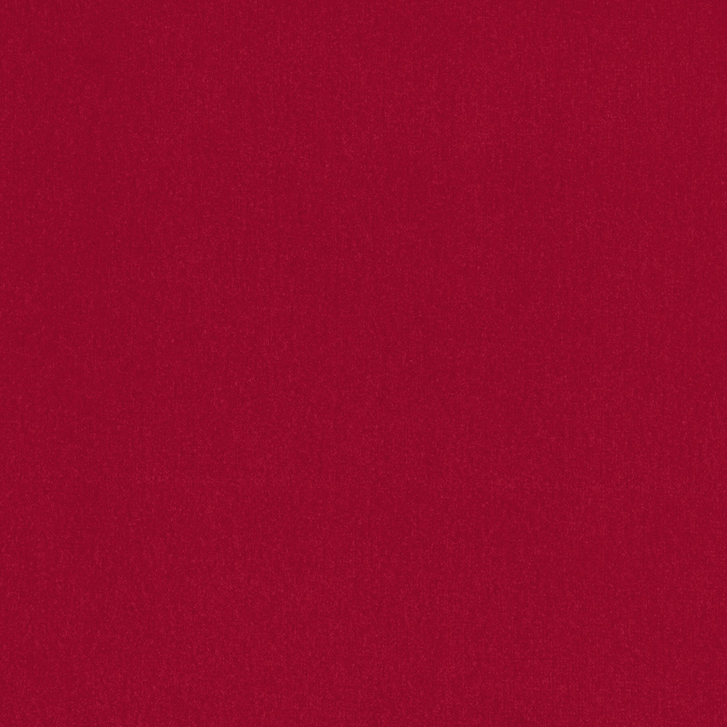 Alto Velvet fabric in ruby color - pattern number W8932 - by Thibaut in the Lyra Velvets collection
