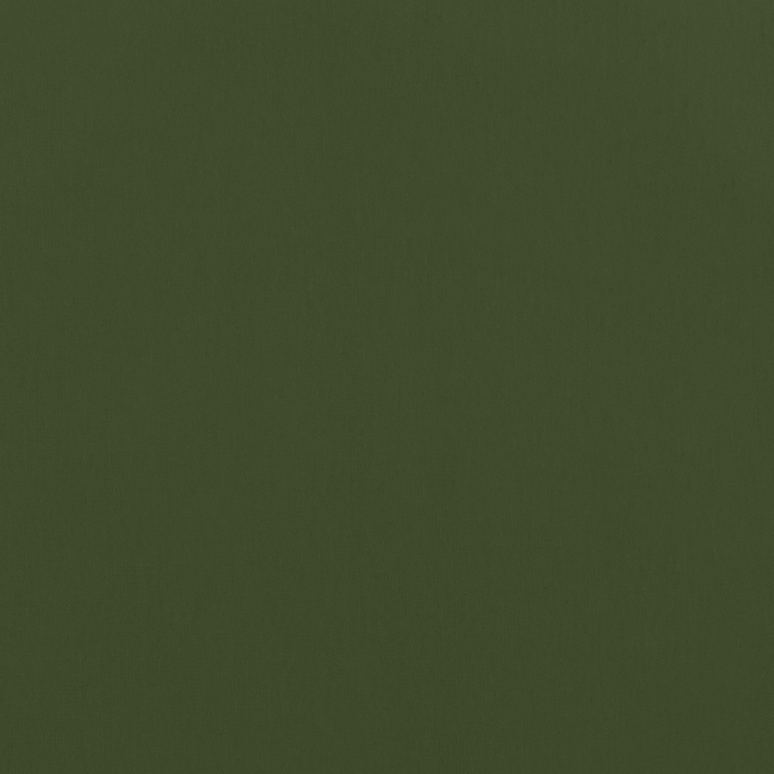 Alto Velvet fabric in olive color - pattern number W8948 - by Thibaut in the Lyra Velvets collection