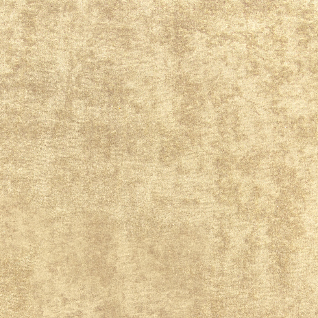 Celeste Velvet fabric in camel color - pattern number W8968 - by Thibaut in the Lyra Velvets collection