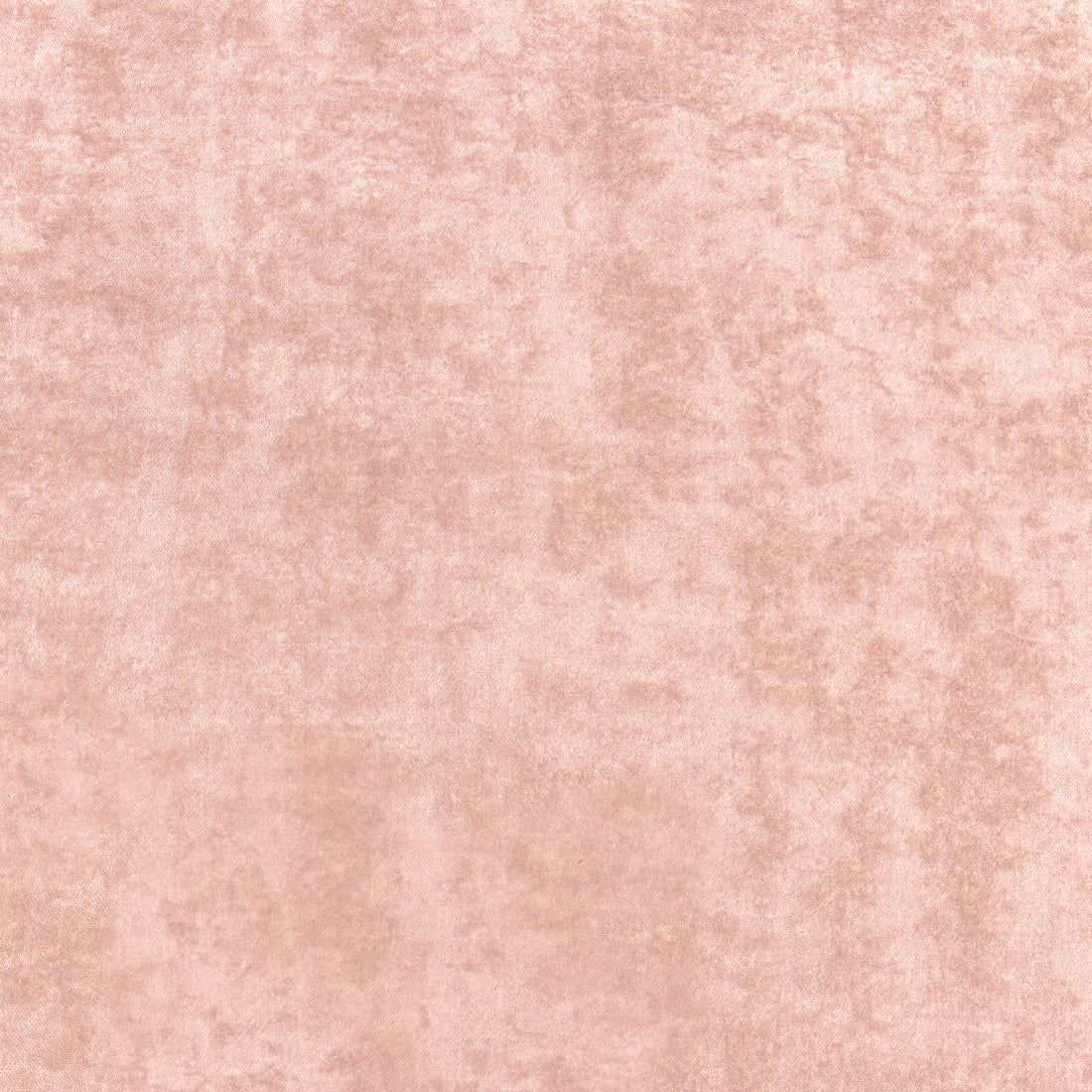Celeste Velvet fabric in blush color - pattern number W8969 - by Thibaut in the Lyra Velvets collection