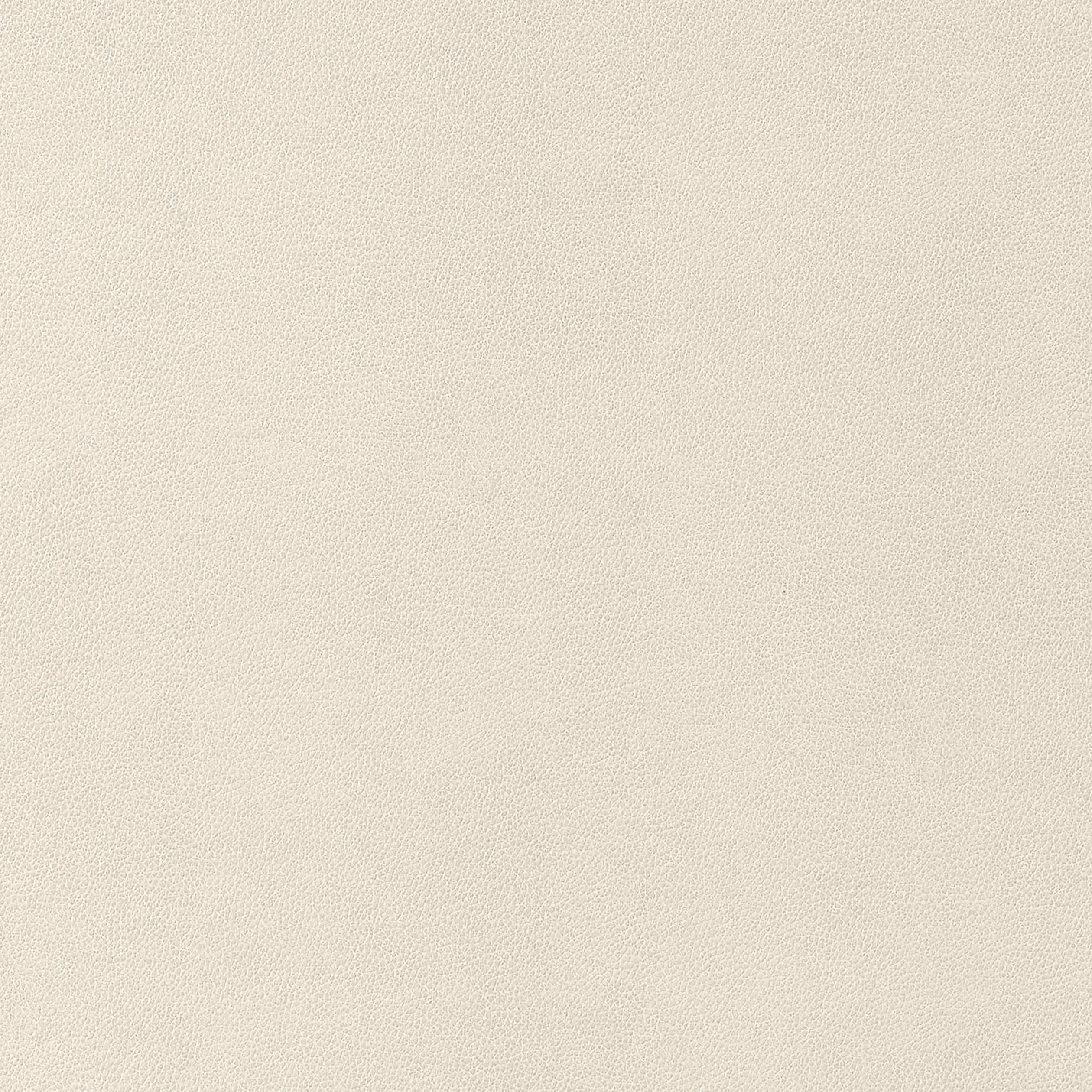 Gaucho fabric in ecru color - pattern number W9049 - by Thibaut in the Vegan Leathers collection