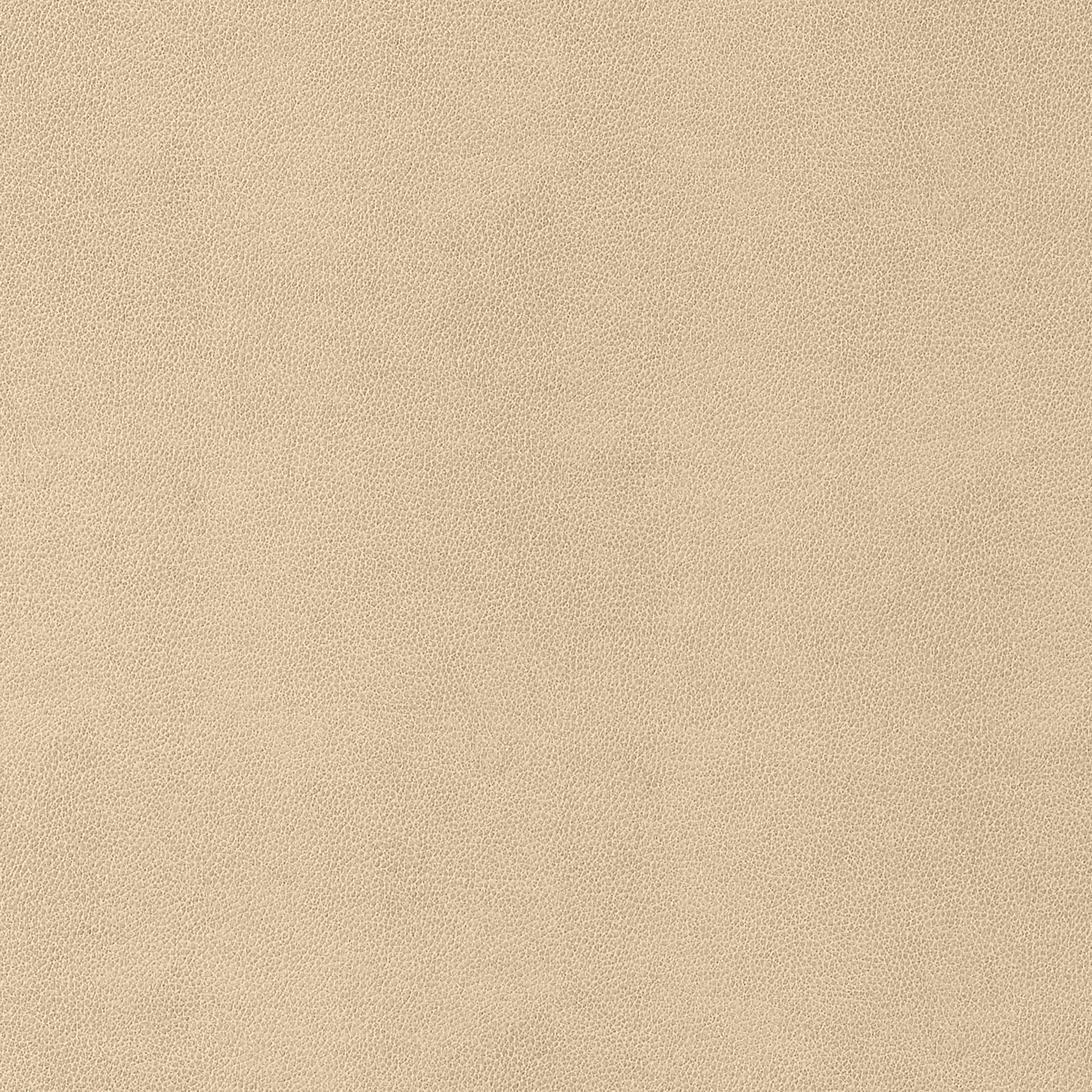 Gaucho fabric in suede color - pattern number W9052 - by Thibaut in the Vegan Leathers collection