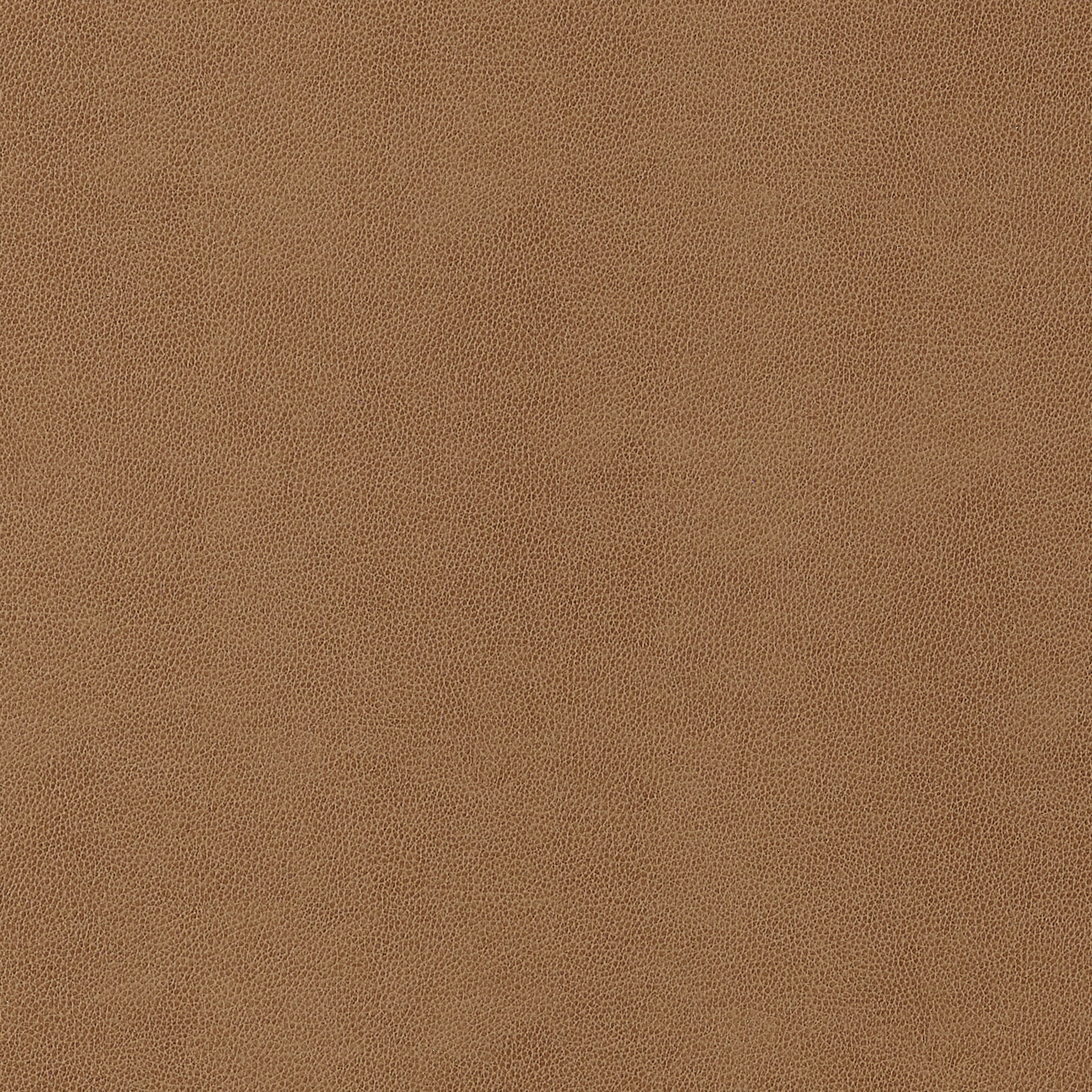 Gaucho fabric in cedar color - pattern number W9053 - by Thibaut in the Vegan Leathers collection