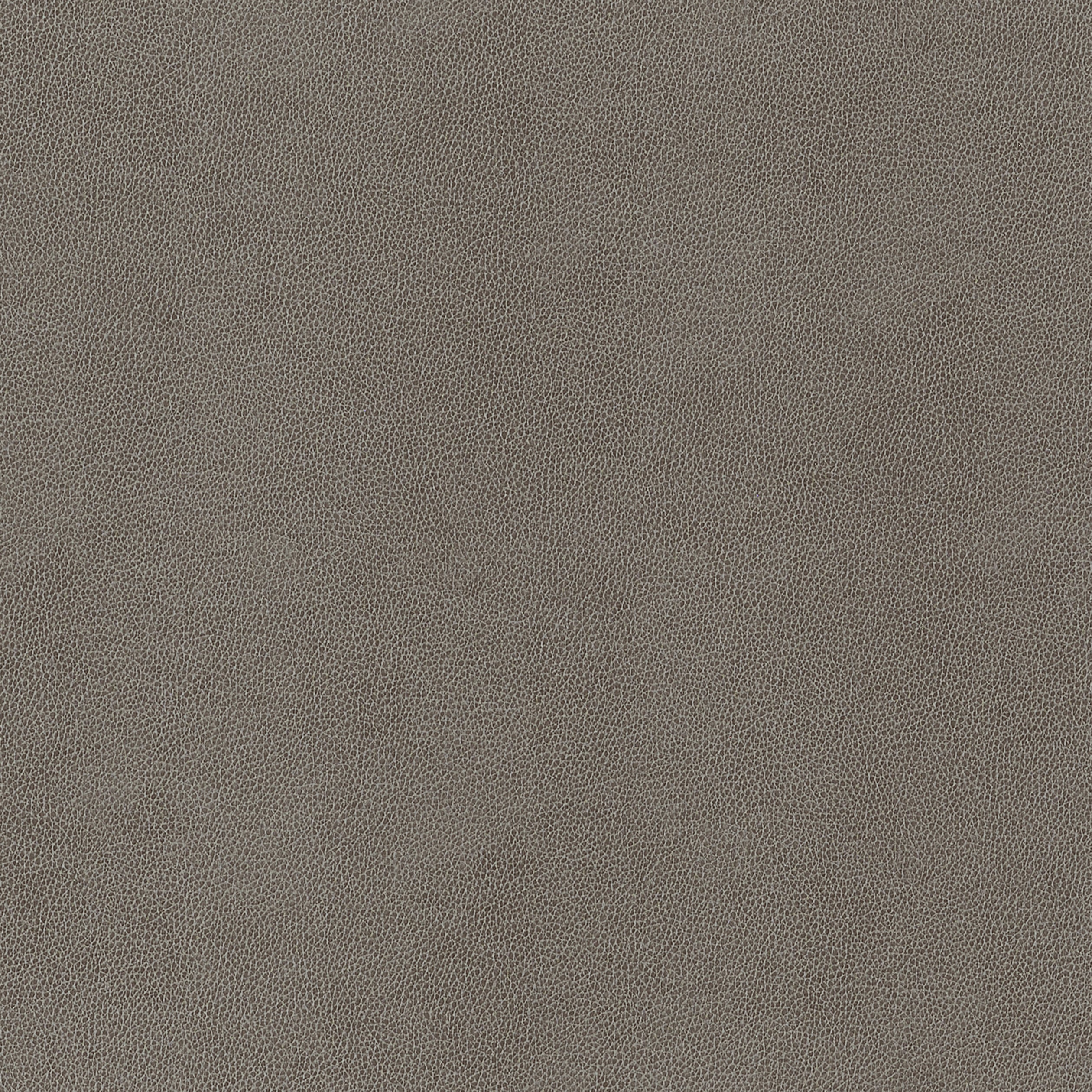 Gaucho fabric in granite color - pattern number W9056 - by Thibaut in the Vegan Leathers collection
