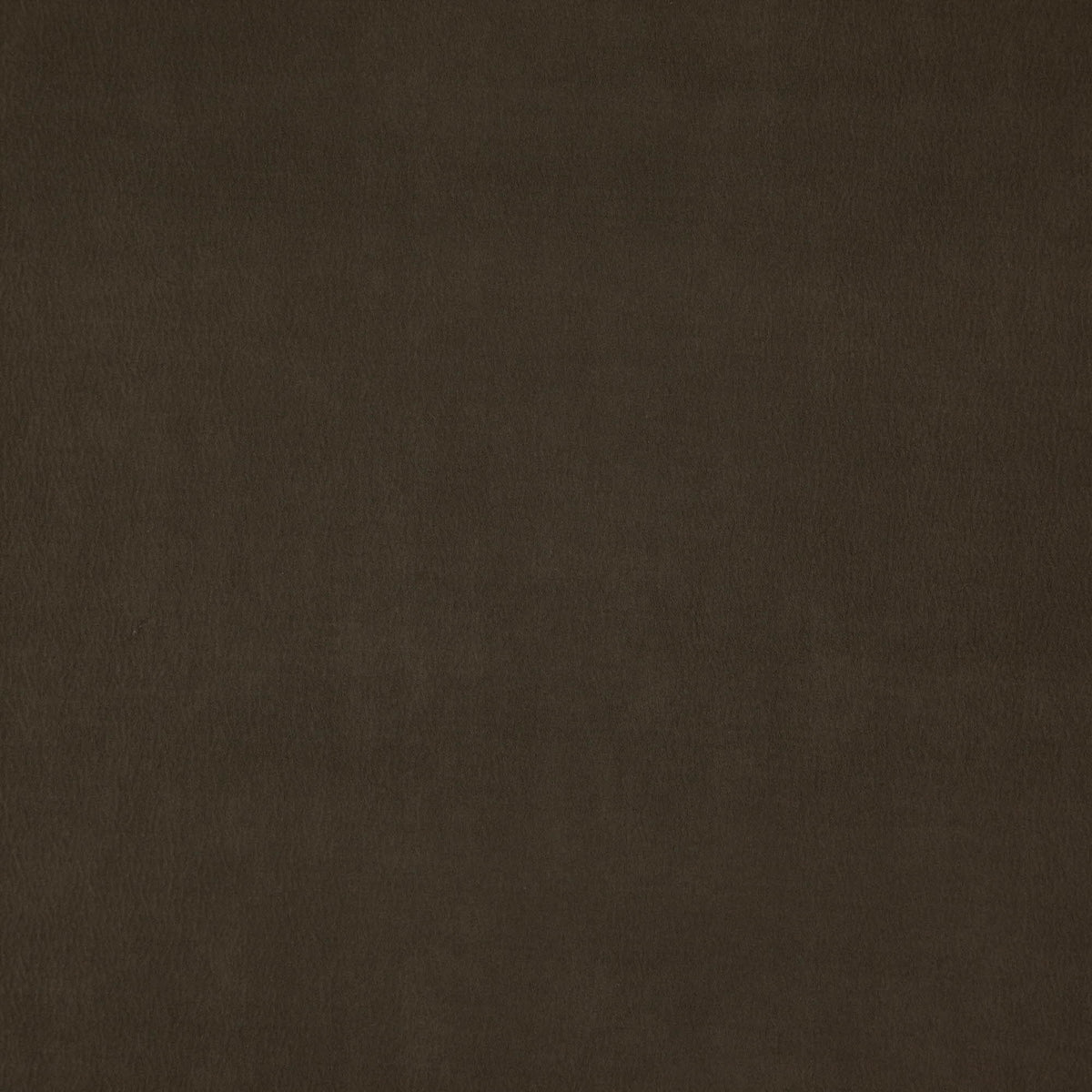 Wisdom fabric in 38 color - pattern number Wisdom38J7531 - by JF Fabrics in the Tannery Basics II collection