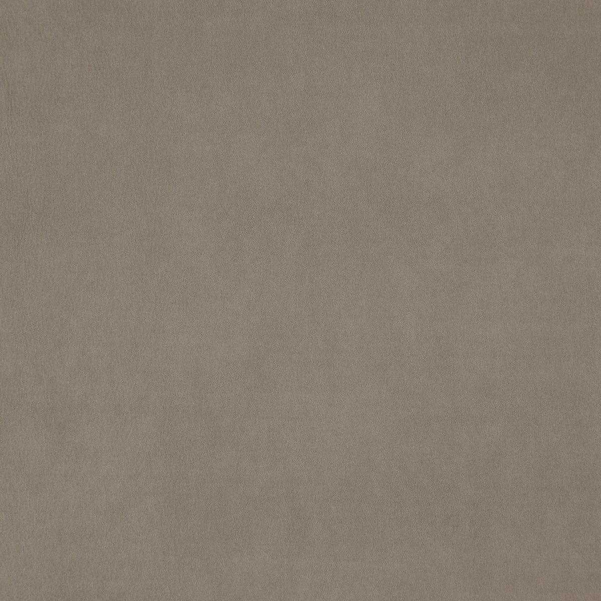 Wisdom fabric in 94 color - pattern number Wisdom94J7531 - by JF Fabrics in the Tannery Basics II collection