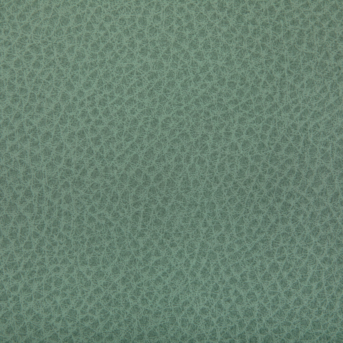 Woolf fabric in julep color - pattern WOOLF.130.0 - by Kravet Contract
